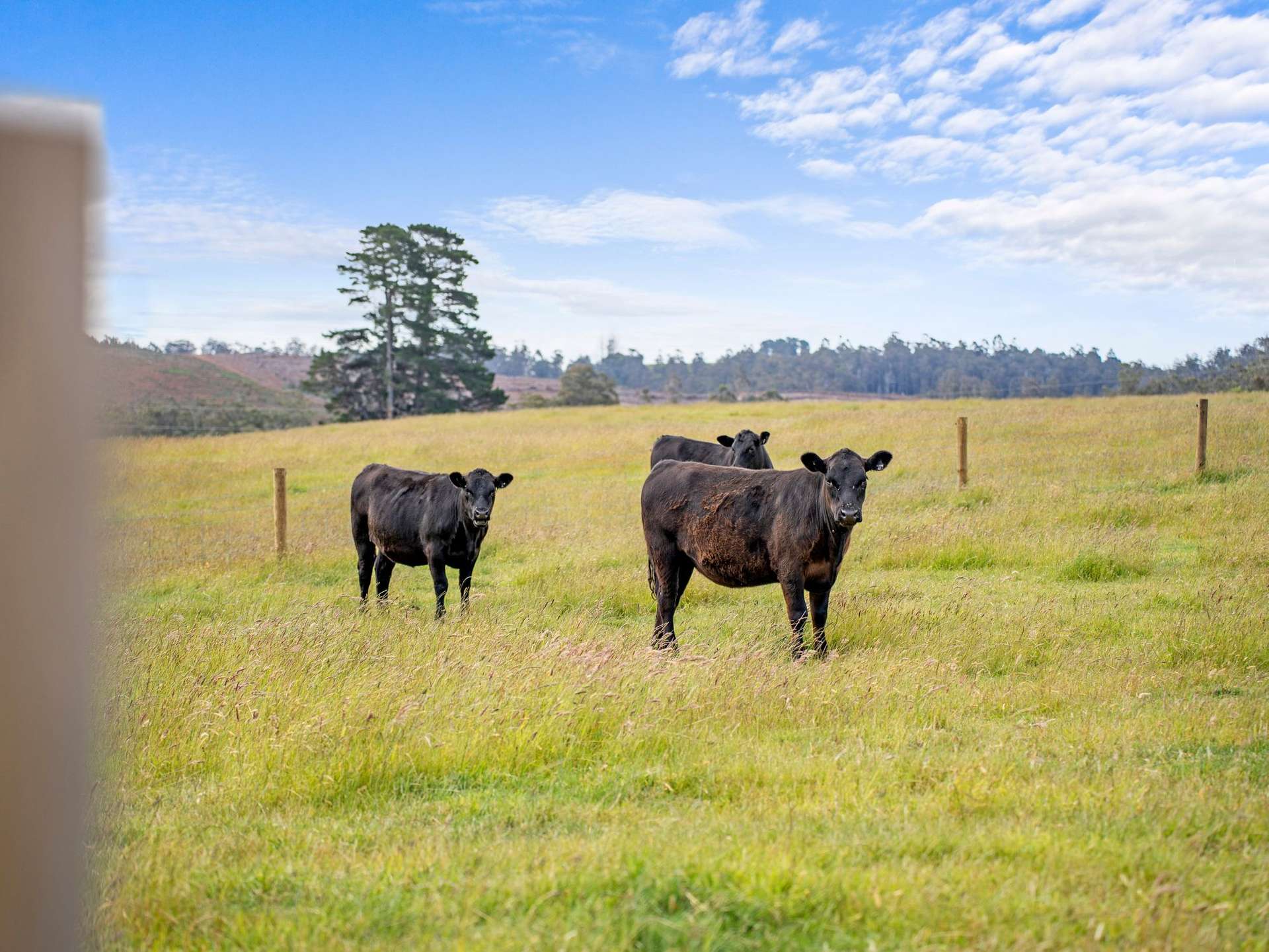 Dalwood Road, Nook For Sale by Farmbuy.com - image 24