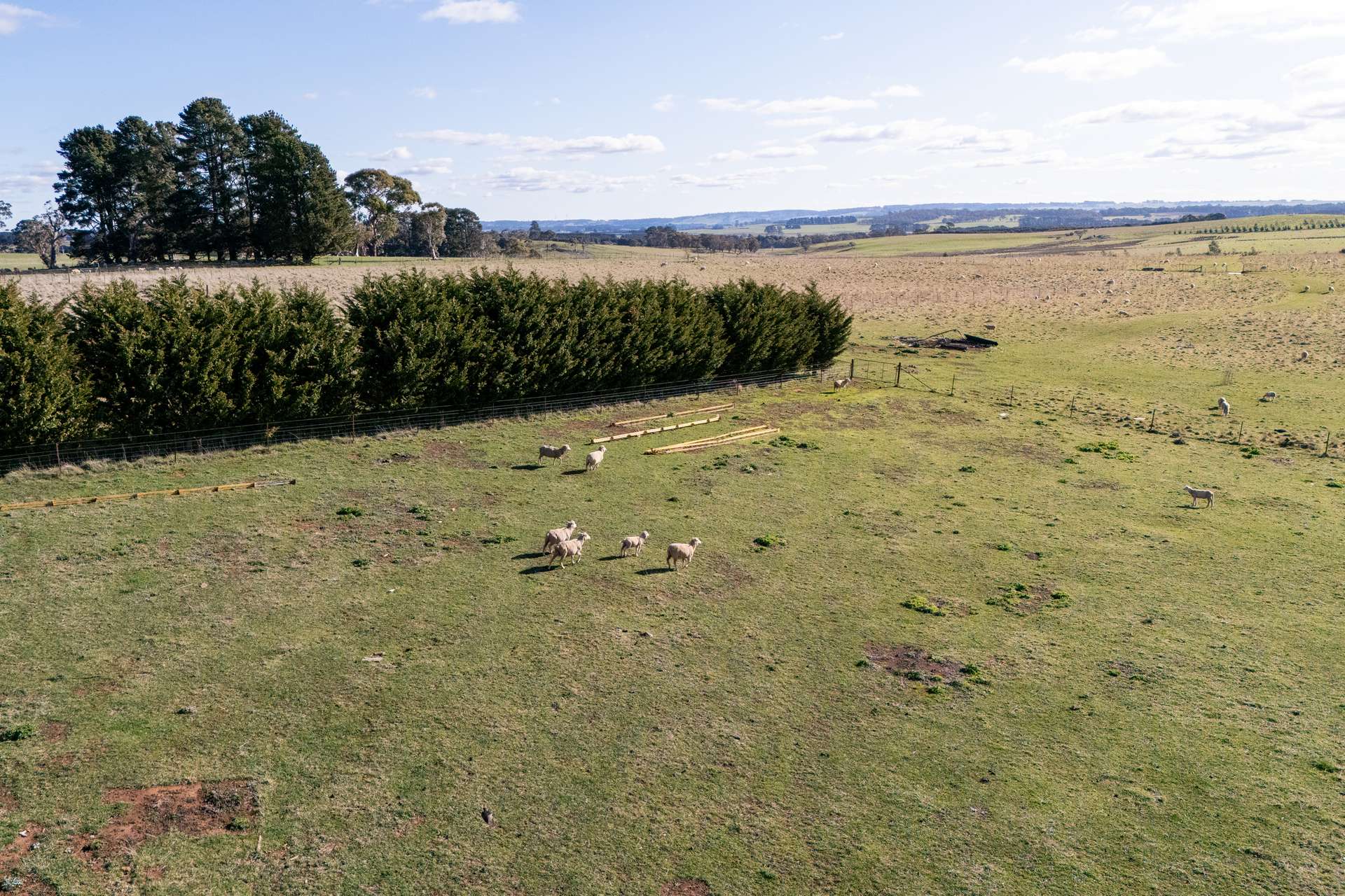 239 McAlister Road, Laggan For Sale by Farmbuy.com - image 8