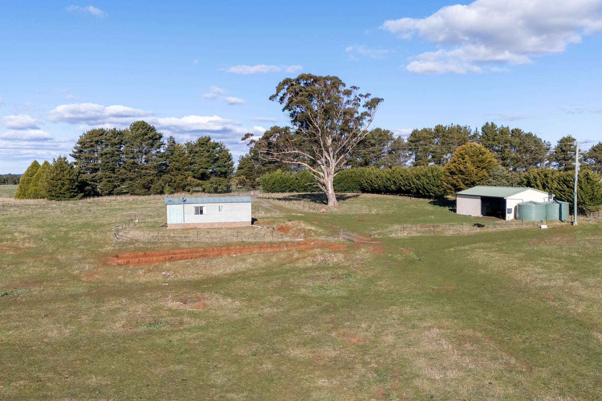 239 McAlister Road, Laggan For Sale by Farmbuy.com - image 9