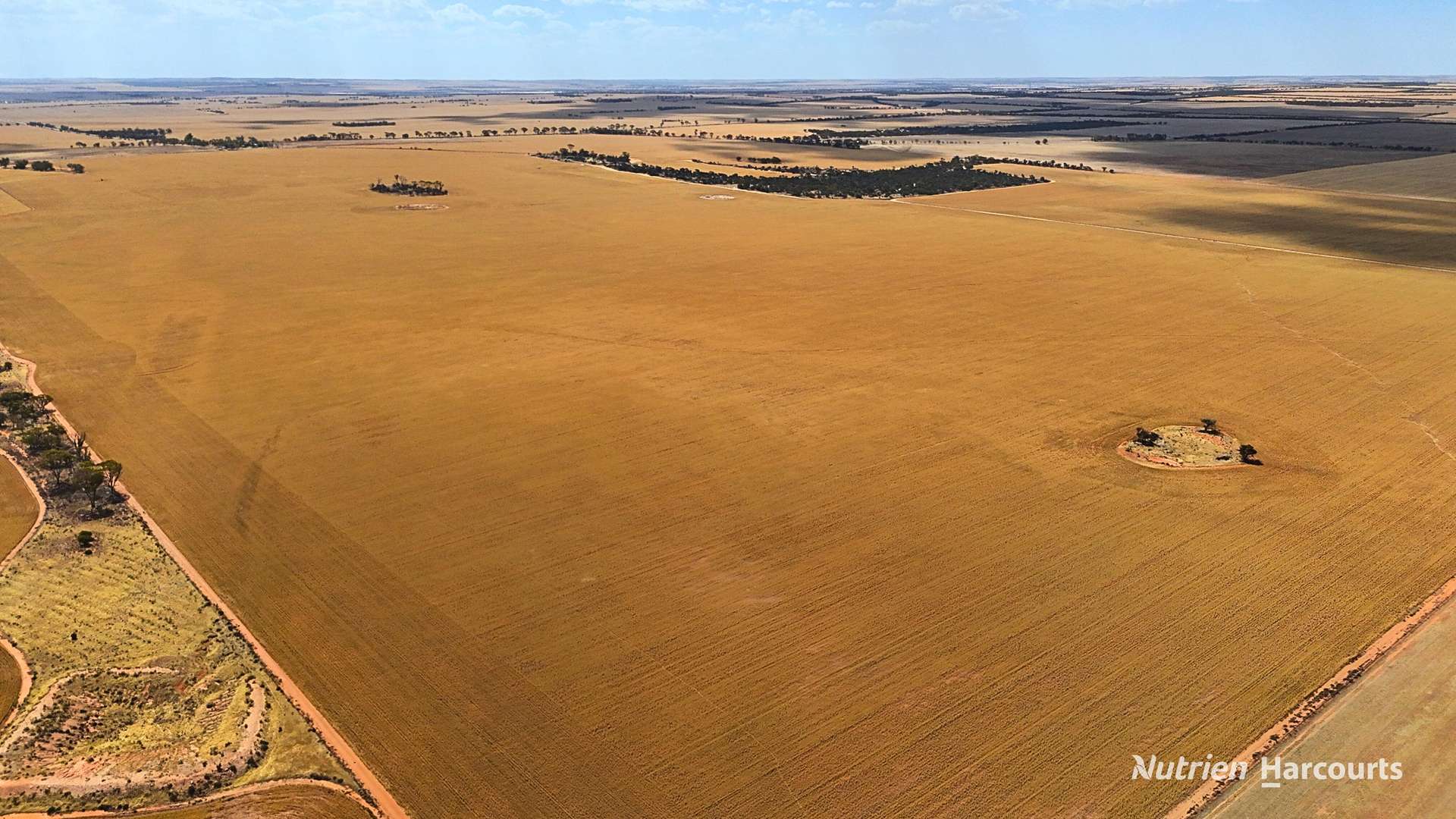 Lot 504 Dowerin-Koorda Road, Booralaming Sold by Farmbuy.com - image 7