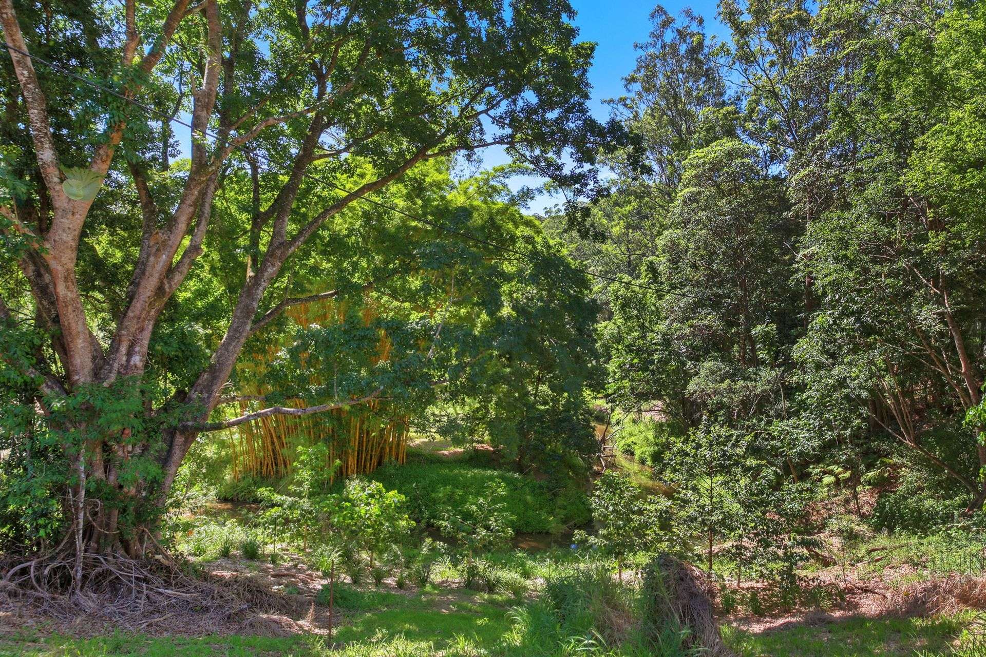 319 Highlands Road, Eudlo For Sale by Farmbuy.com - image 28