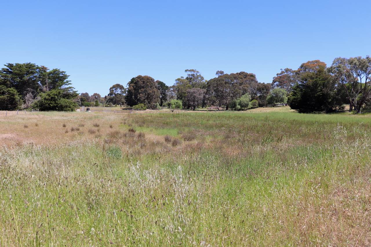 Lot 58 & 59,  Jubilee Street, Inverleigh For Sale by Farmbuy.com - image 4