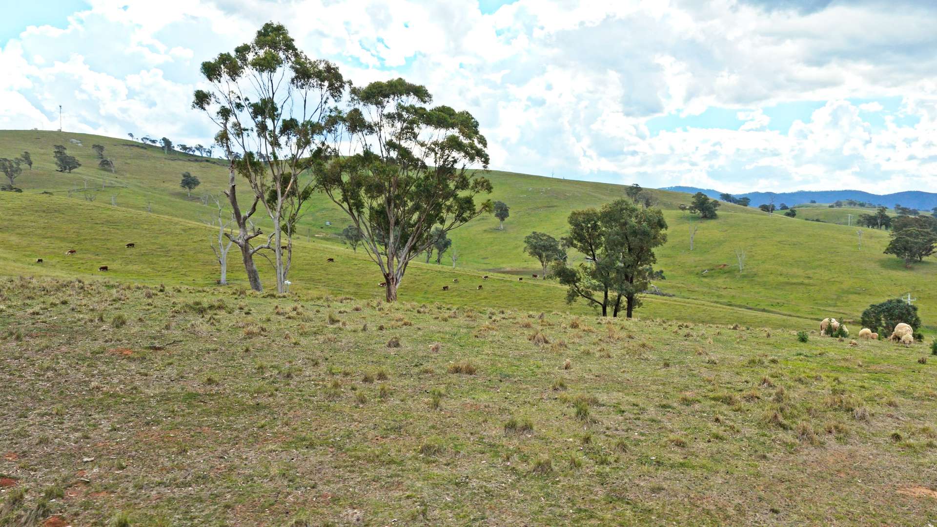 Allot 15/5185 Great Alpine Road, Ensay For Sale by Farmbuy.com - image 8