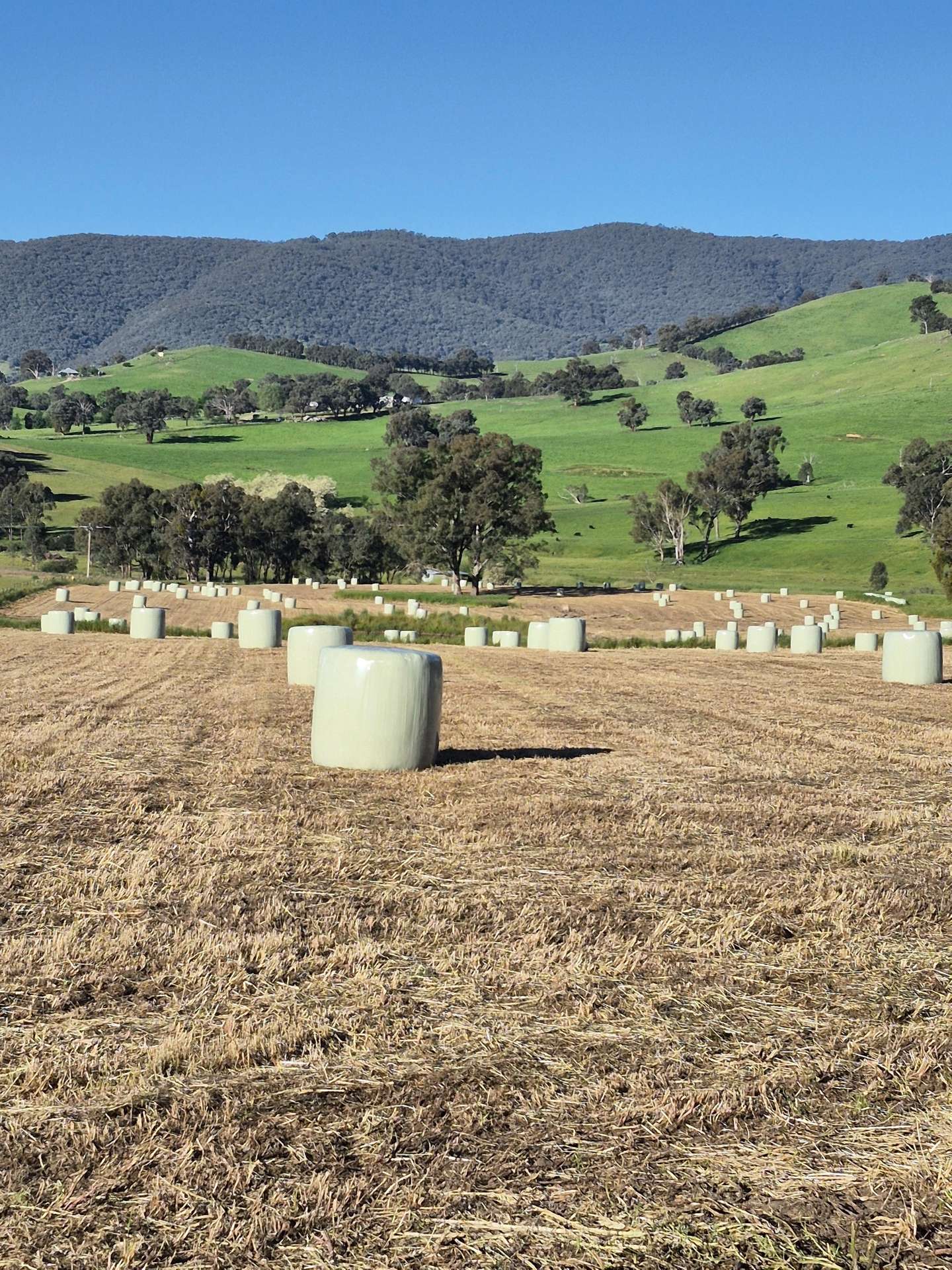 Lot 27 Sandy Creek Road, Sandy Creek For Sale by Farmbuy.com - image 9