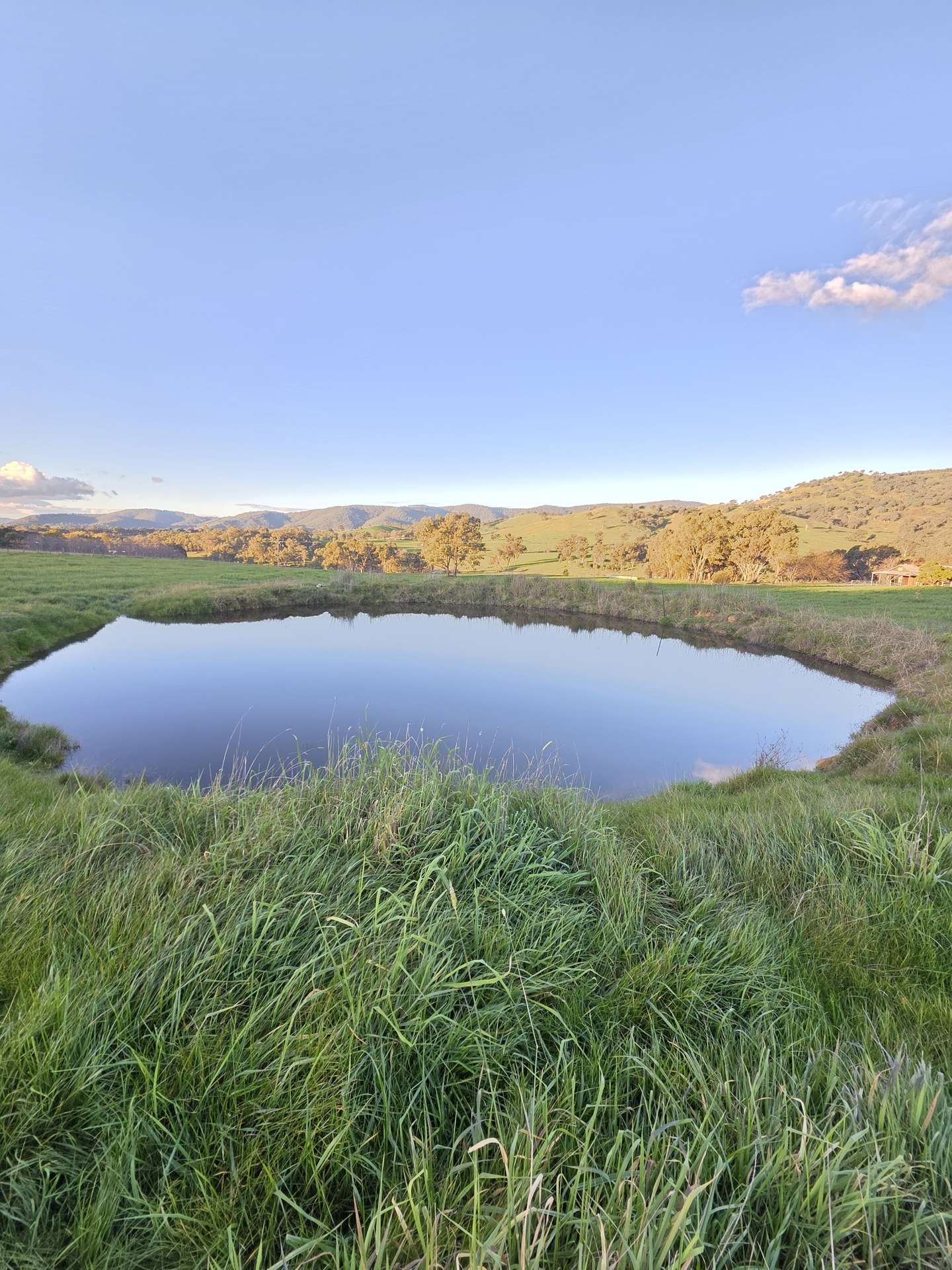 Lot 27 Sandy Creek Road, Sandy Creek For Sale by Farmbuy.com - image 11
