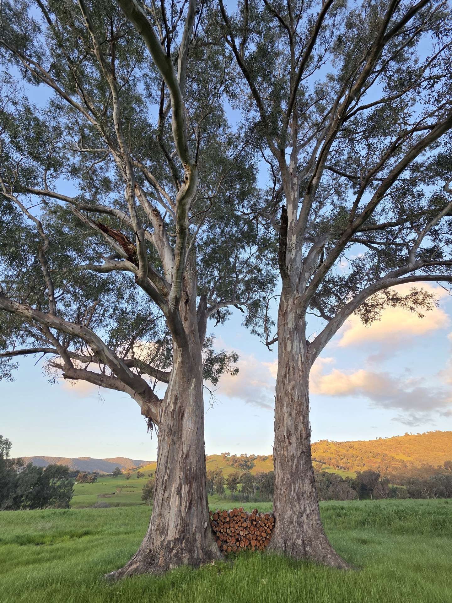 Lot 27 Sandy Creek Road, Sandy Creek For Sale by Farmbuy.com - image 2