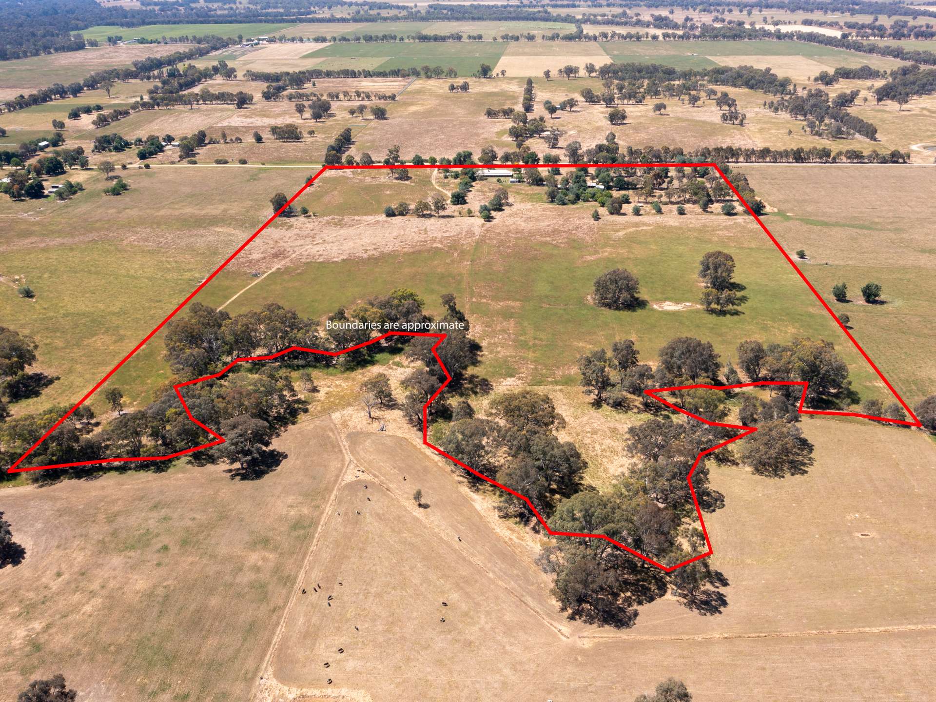 107 Wards Lane, Meadow Creek Sold by Farmbuy.com - image 29