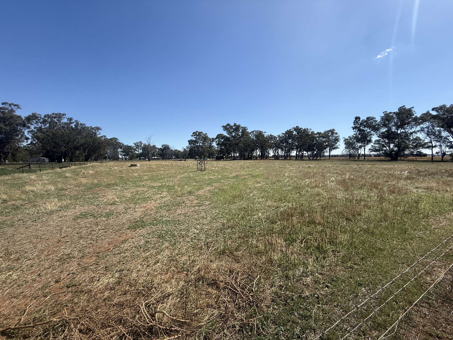 1815 Bribbaree Road, Thuddungra Sold by Farmbuy.com - image 13