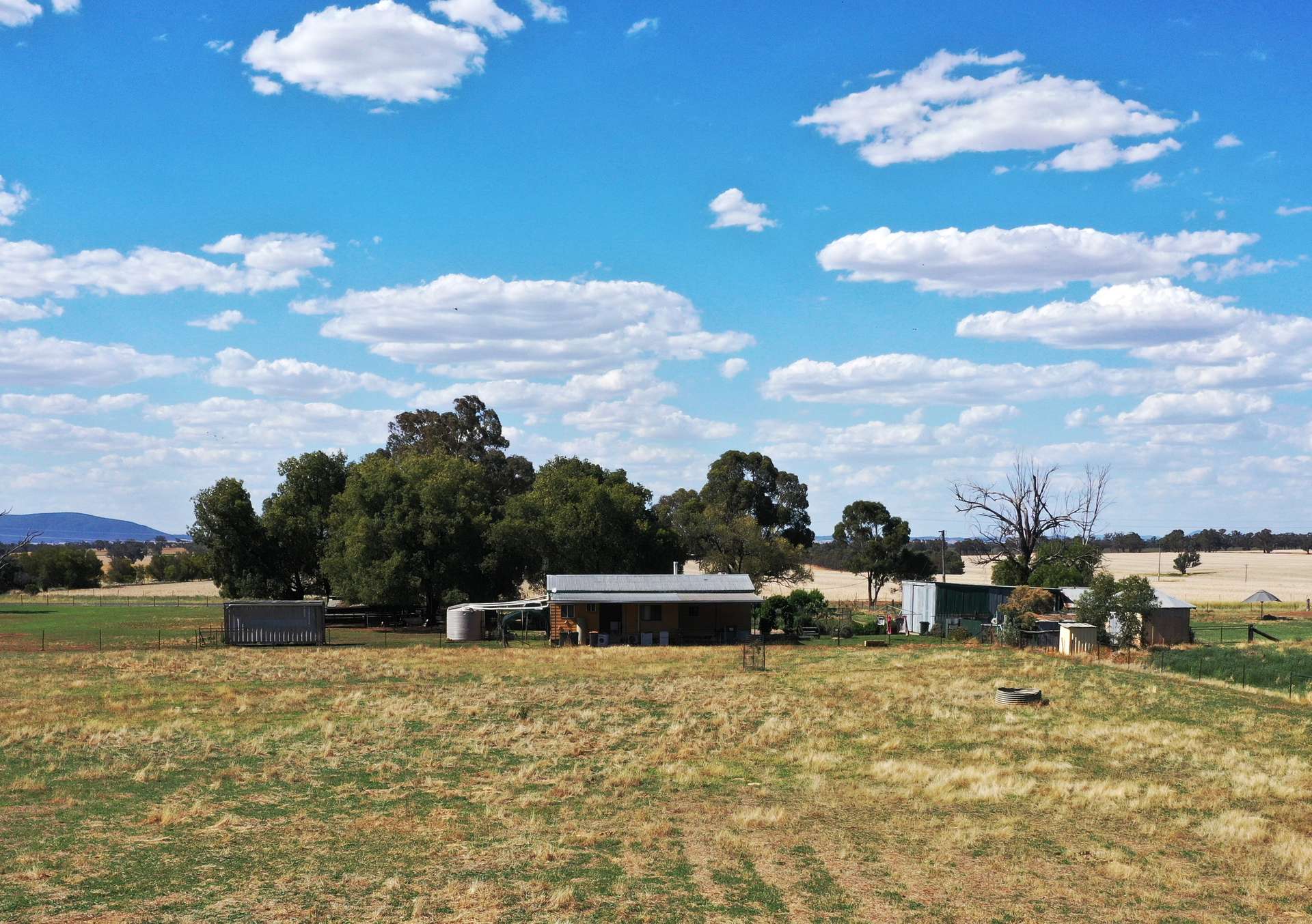 1815 Bribbaree Road, Thuddungra Sold by Farmbuy.com - image 6