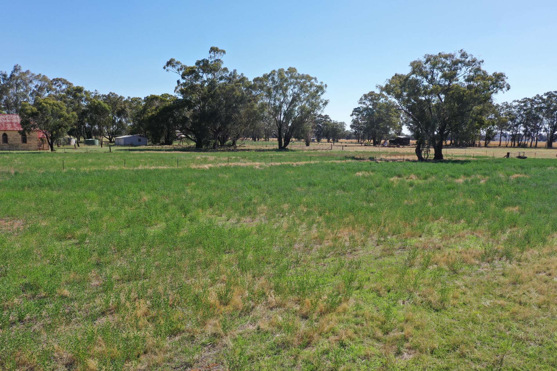 1815 Bribbaree Road, Thuddungra Sold by Farmbuy.com - image 4