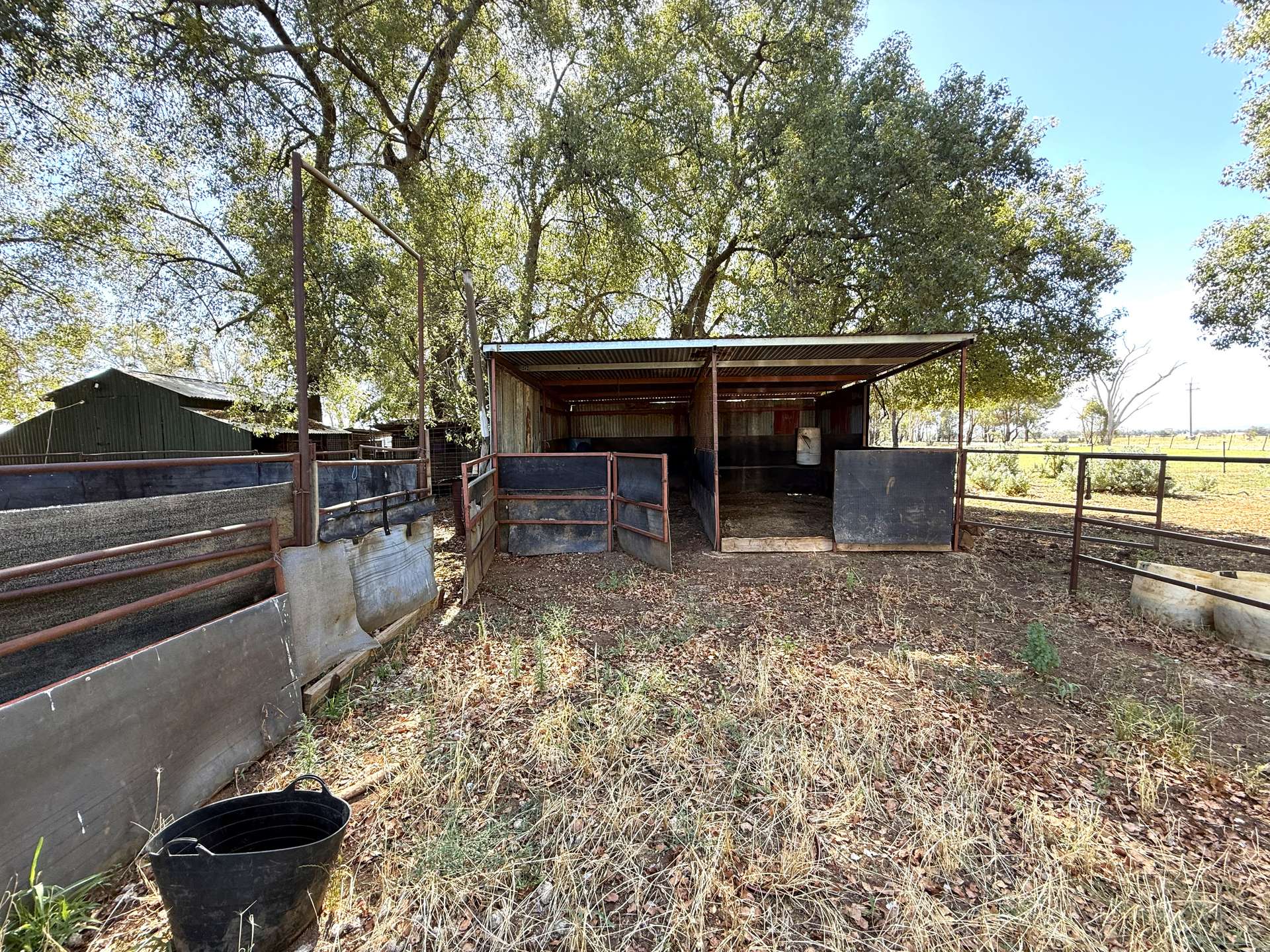1815 Bribbaree Road, Thuddungra Sold by Farmbuy.com - image 12