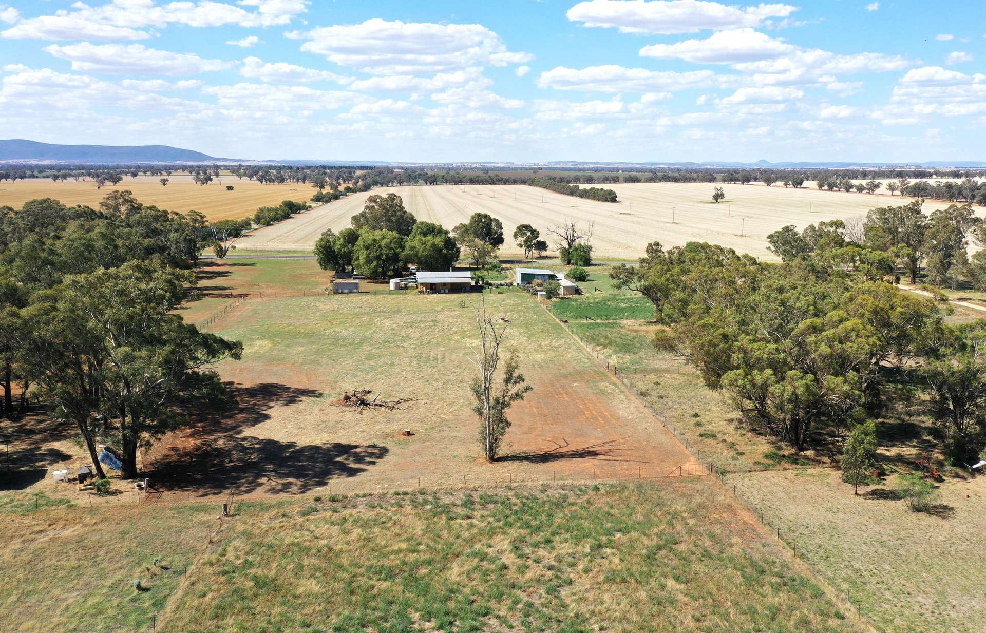 1815 Bribbaree Road, Thuddungra Sold by Farmbuy.com - image 7