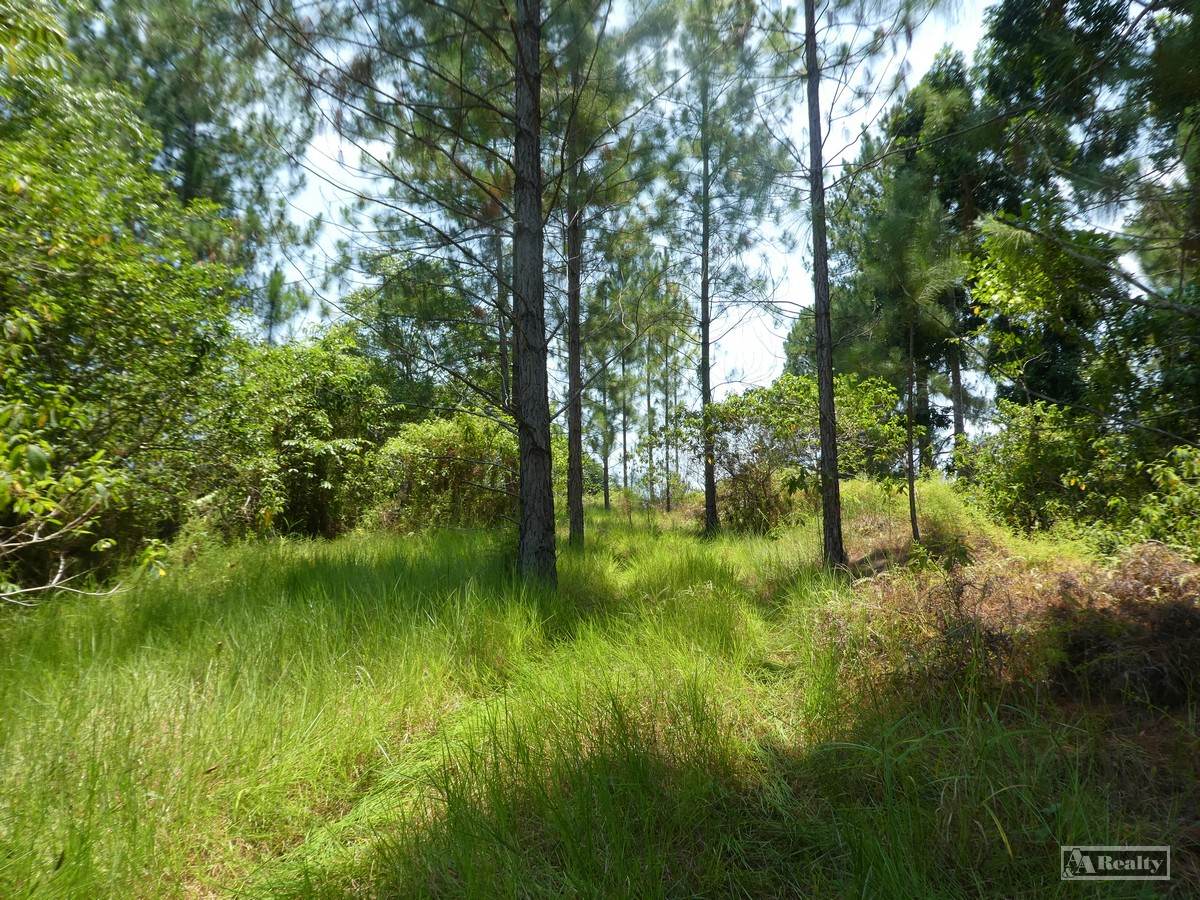 Eubenangee For Sale by Farmbuy.com - image 5