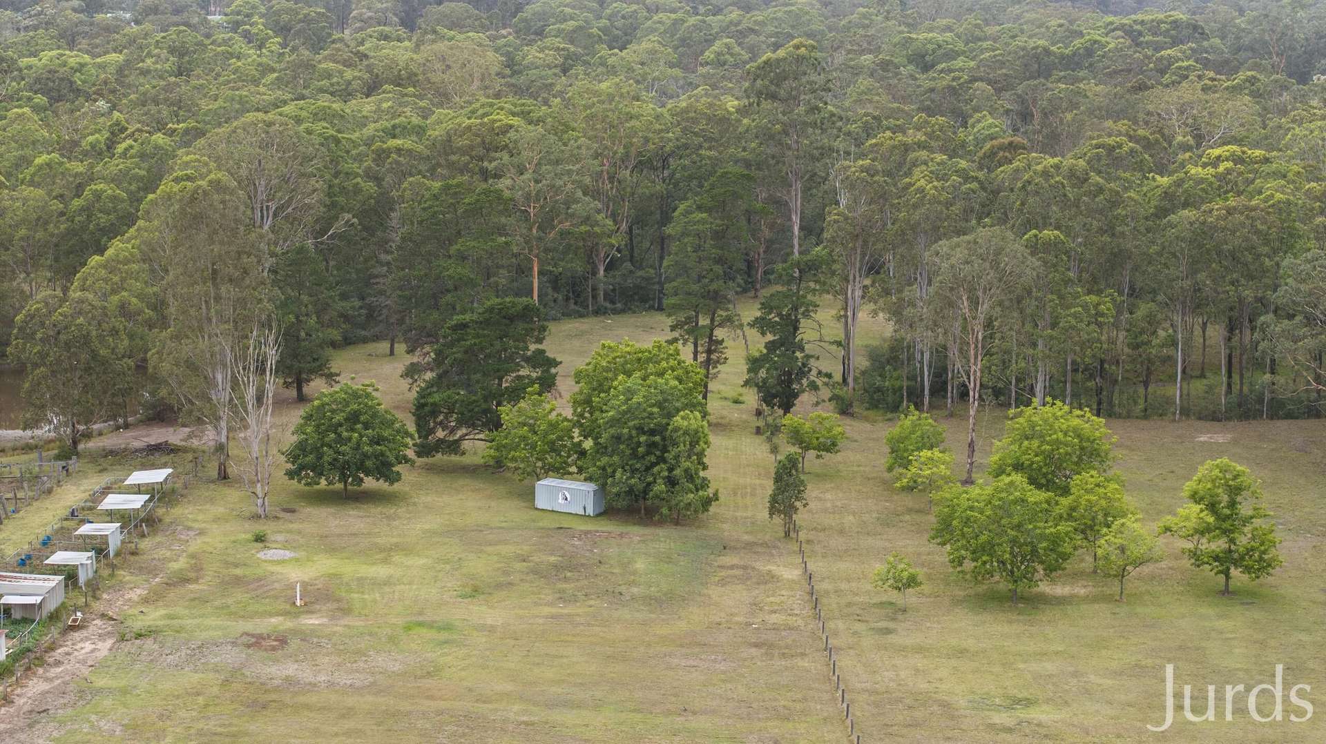 Lot 221, 1491 Old Maitland Road, Sawyers Gully Auction by Farmbuy.com - image 9