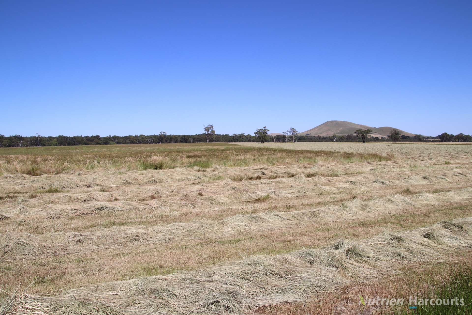 CA 46/225 Wilsons Road, Kooroocheang For Sale by Farmbuy.com - image 6