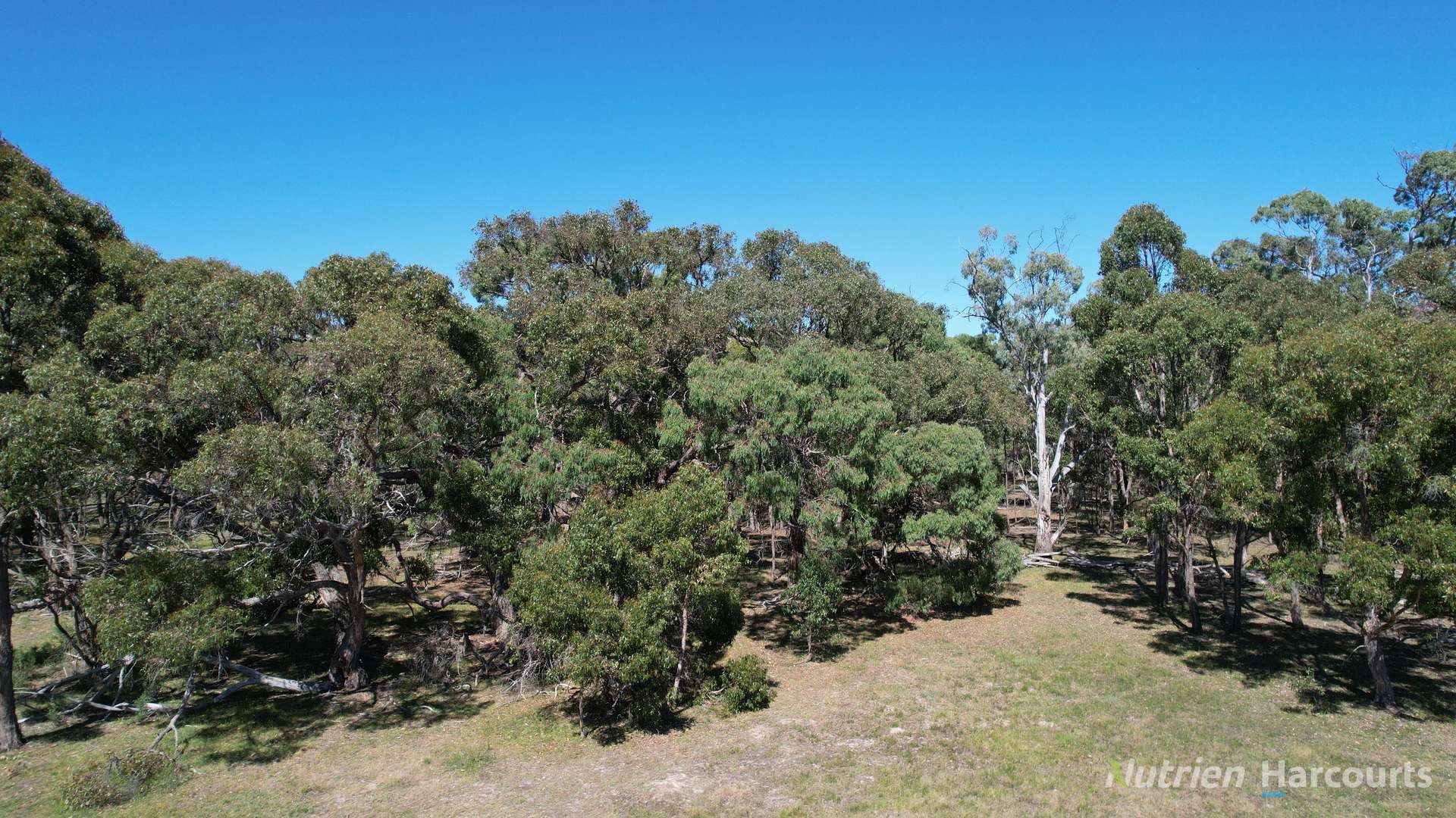 CA 46/225 Wilsons Road, Kooroocheang For Sale by Farmbuy.com - image 10