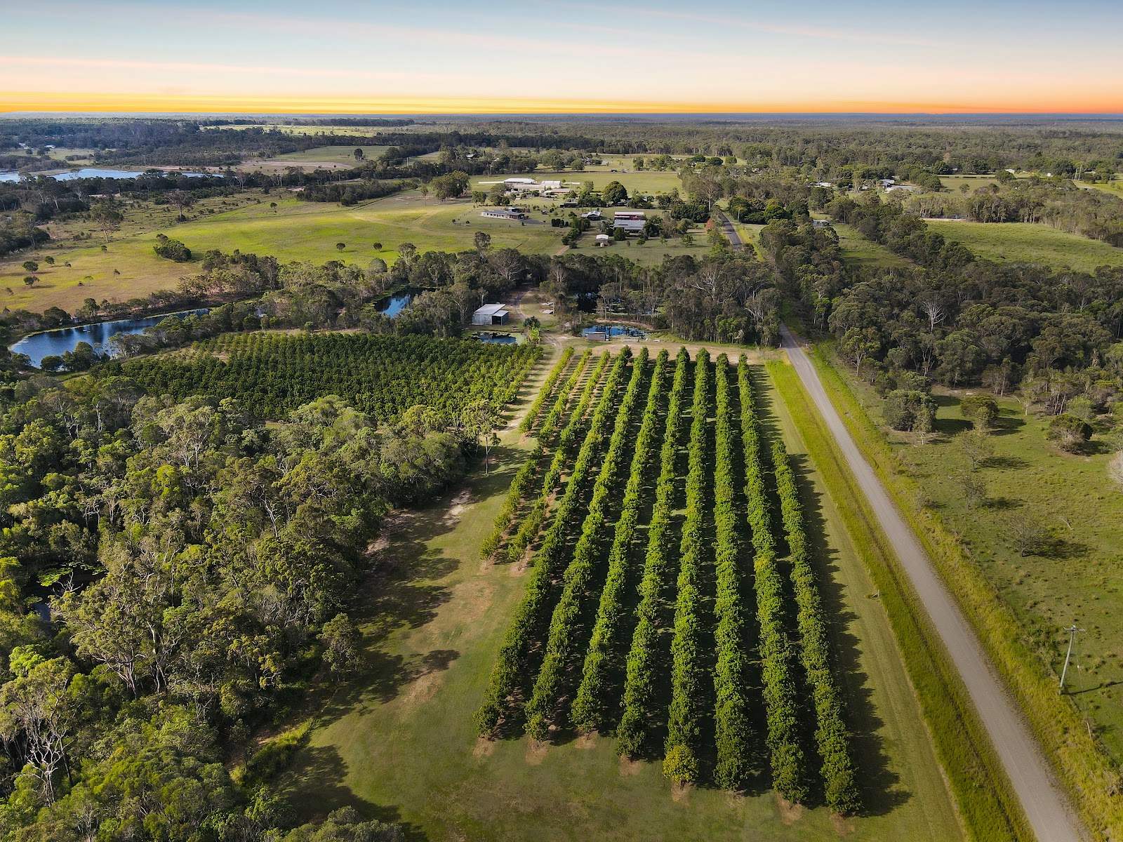 40 Olivers Road, Goodwood For Sale by Farmbuy.com - image 2