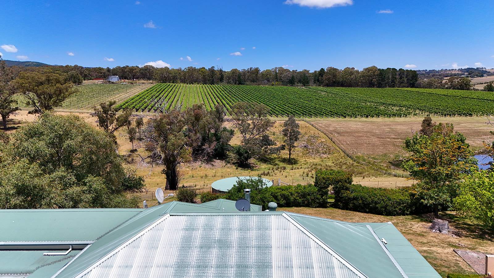'Woodside' 91 Boree Lane, Lidster Via, Orange Sold by Farmbuy.com - image 7