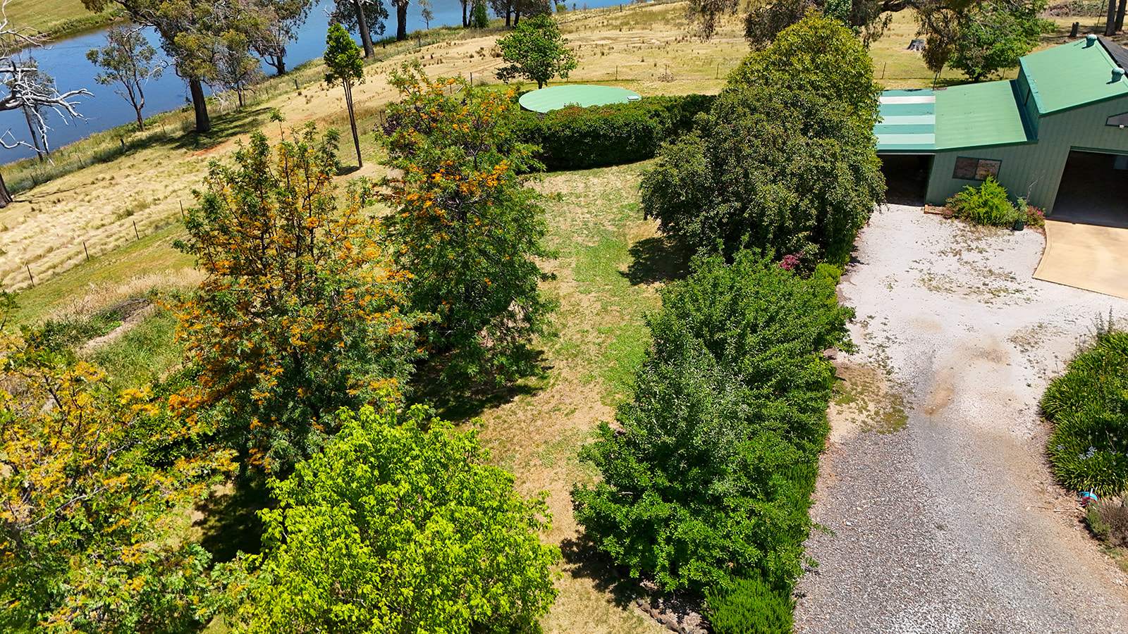 'Woodside' 91 Boree Lane, Lidster Via, Orange Sold by Farmbuy.com - image 8
