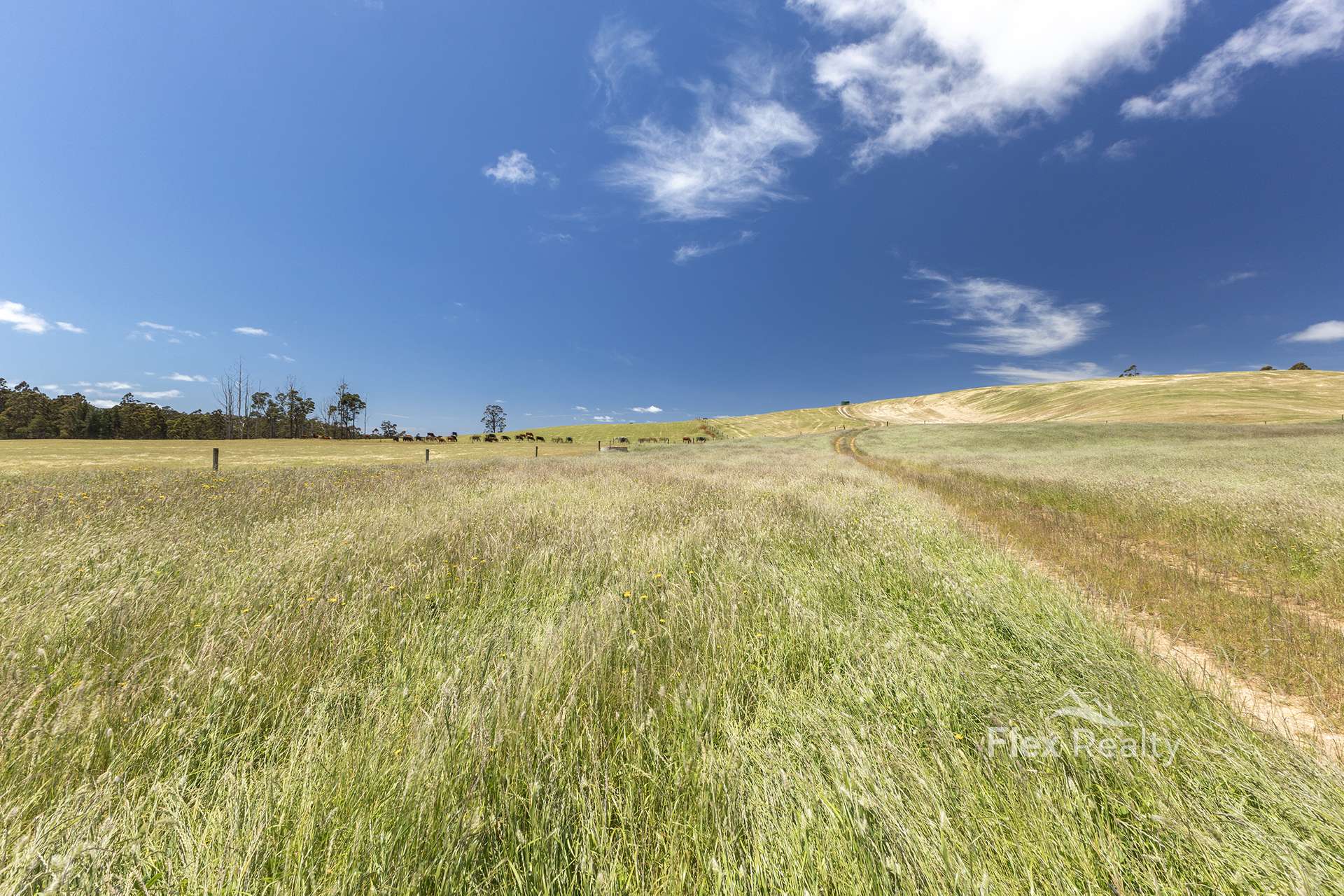 580 Newhaven Road, Mawbanna For Sale by Farmbuy.com - image 13