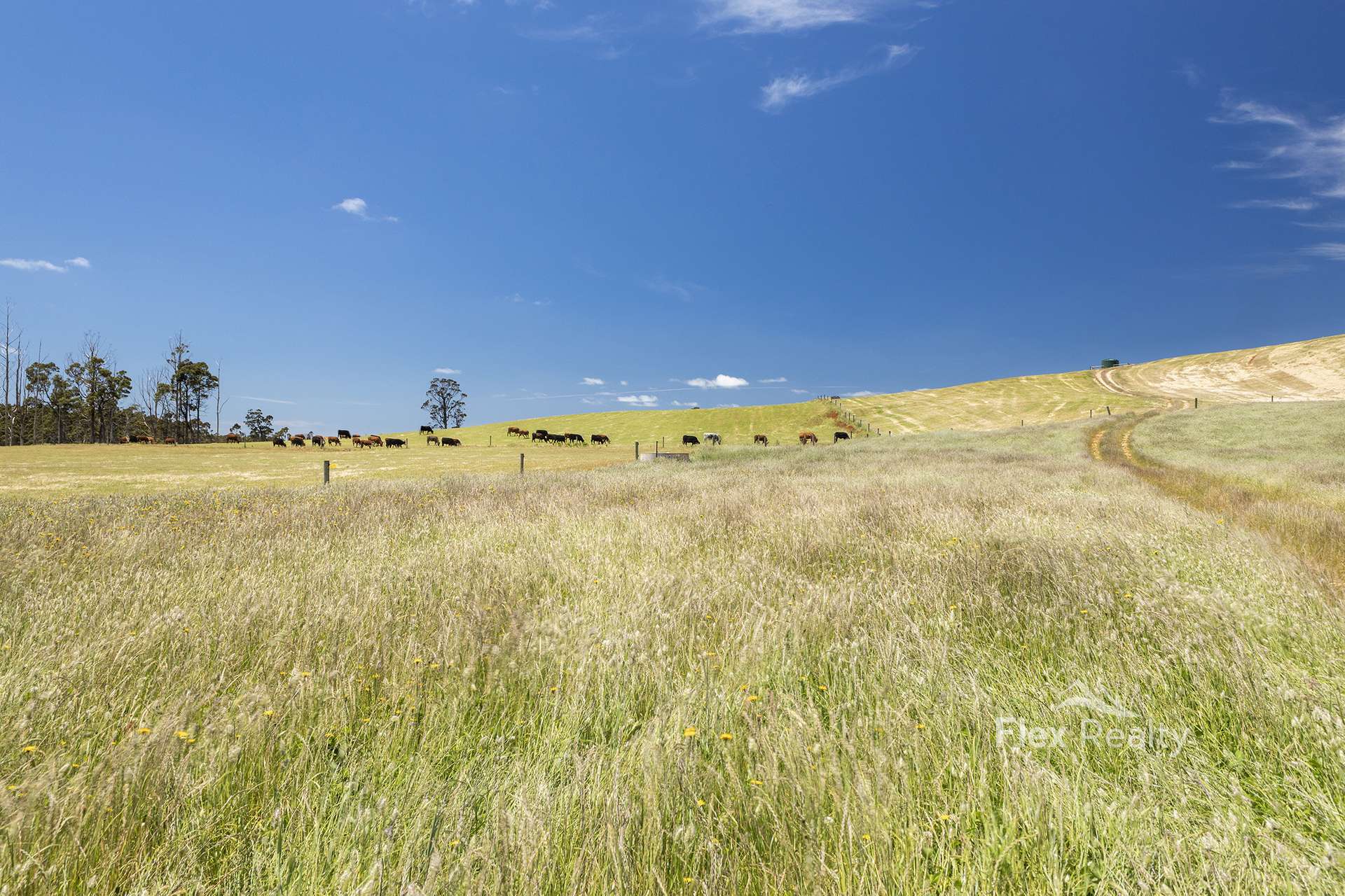 580 Newhaven Road, Mawbanna For Sale by Farmbuy.com - image 15