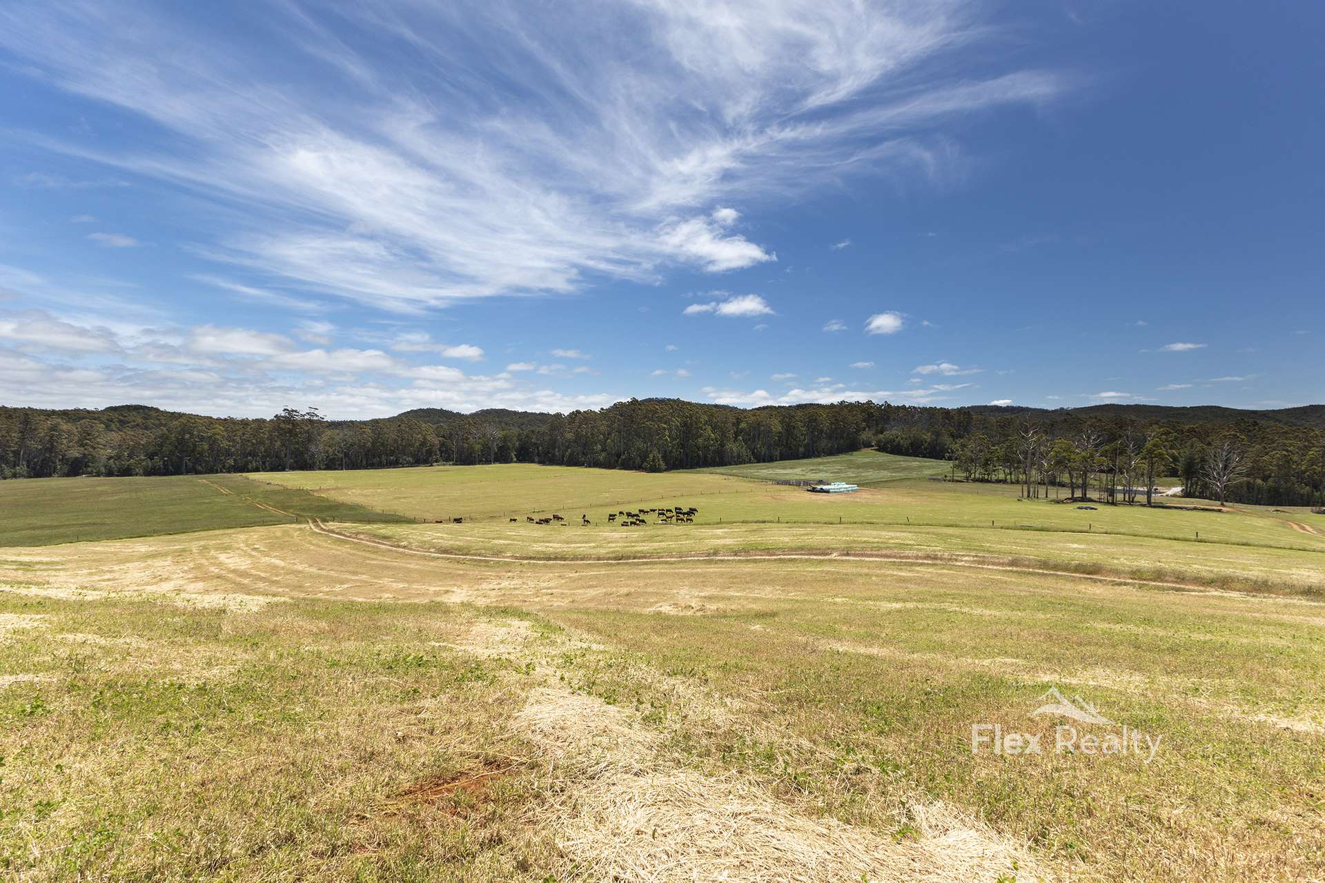 580 Newhaven Road, Mawbanna For Sale by Farmbuy.com - image 5