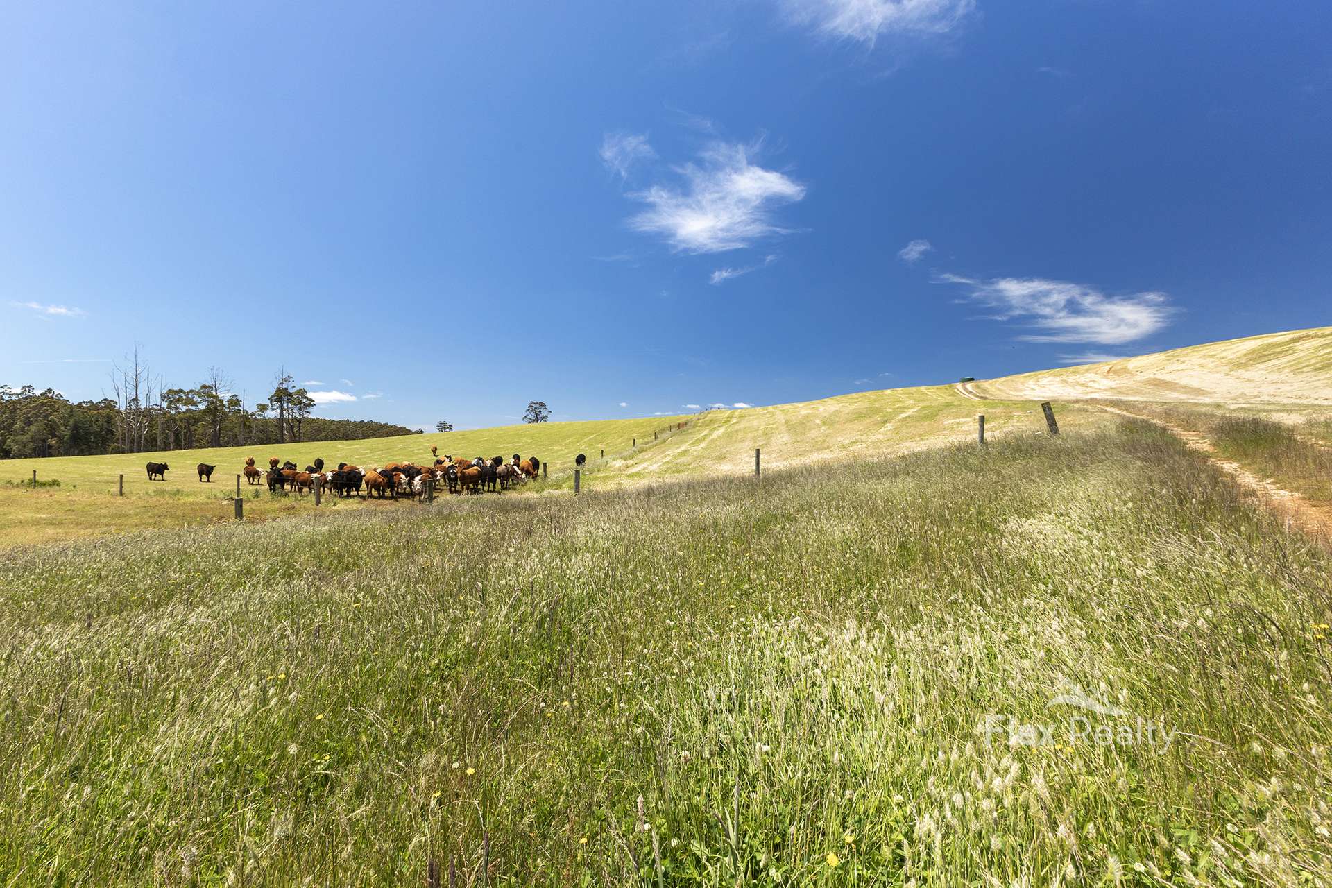 580 Newhaven Road, Mawbanna For Sale by Farmbuy.com - image 9