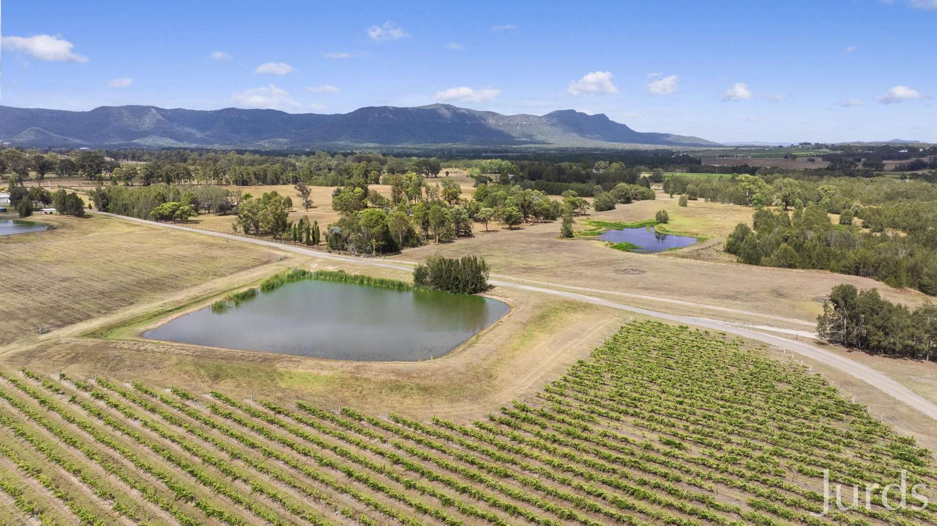 223 Deasys Road, Pokolbin For Sale by Farmbuy.com - image 27