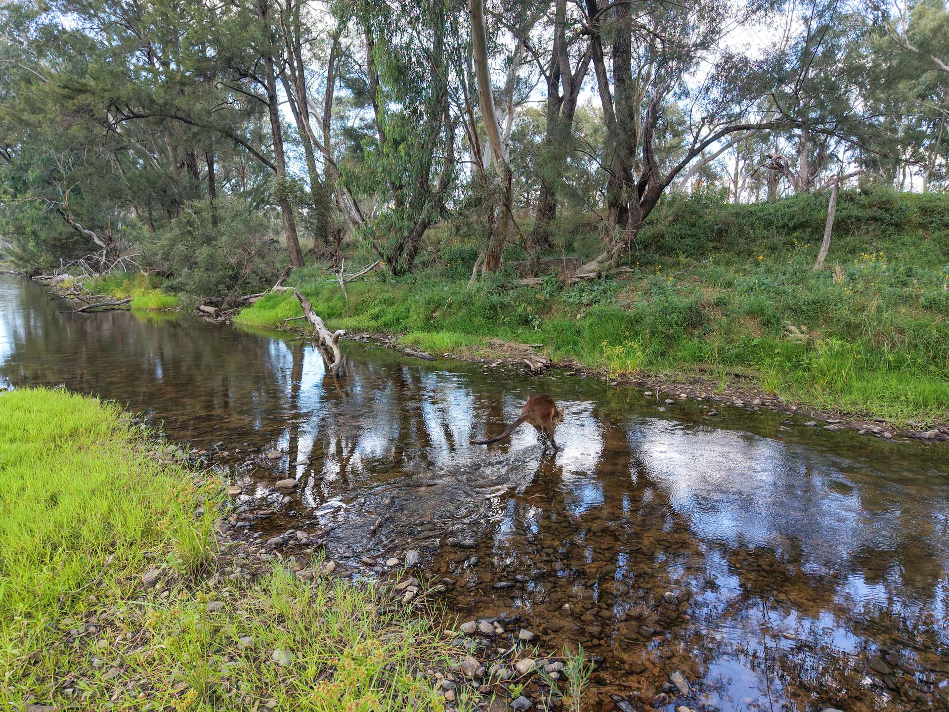Lot 21 Gibraltar Road, Tenterfield For Sale by Farmbuy.com - image 7