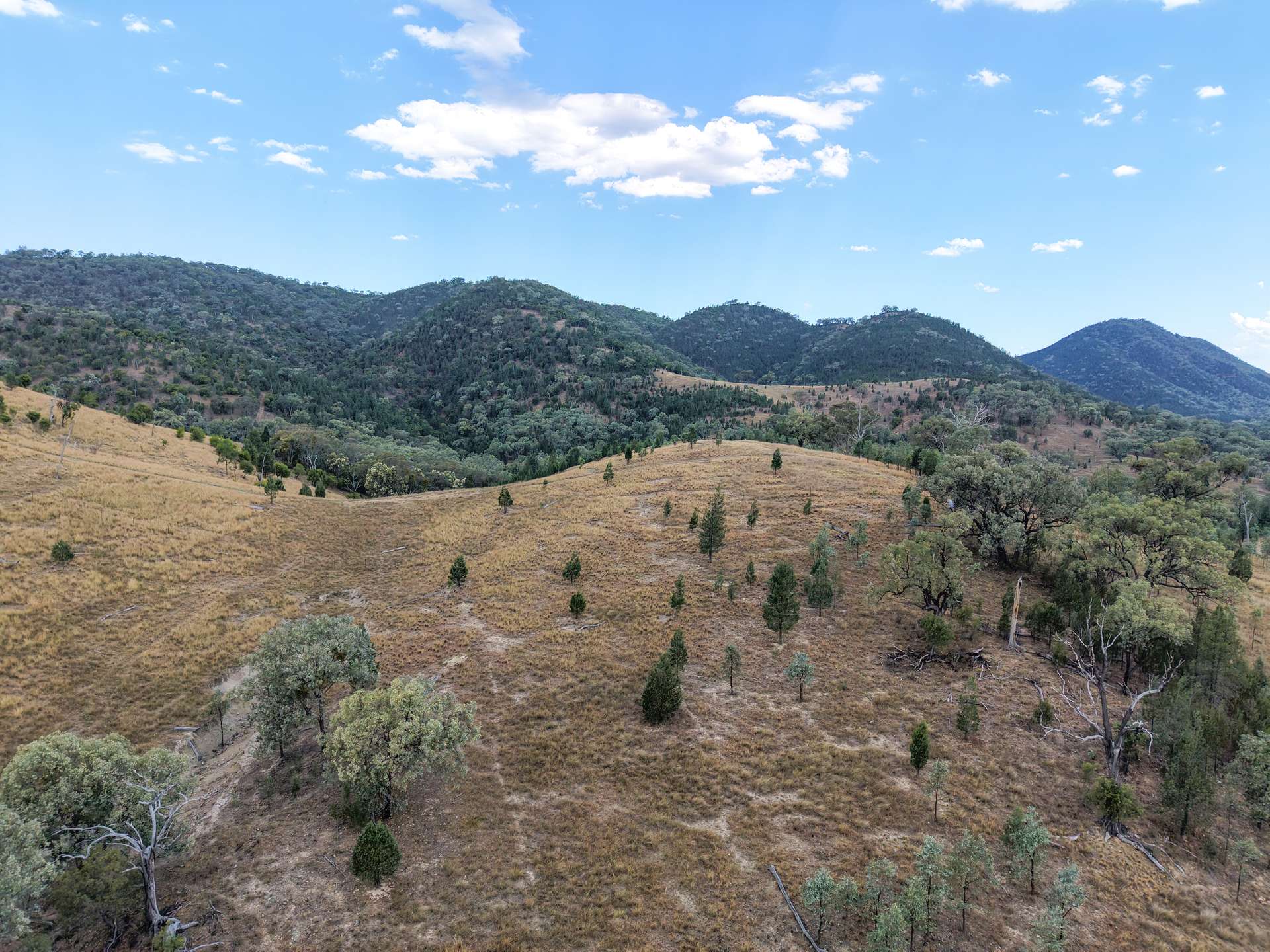 Lot 21 Gibraltar Road, Tenterfield For Sale by Farmbuy.com - image 23