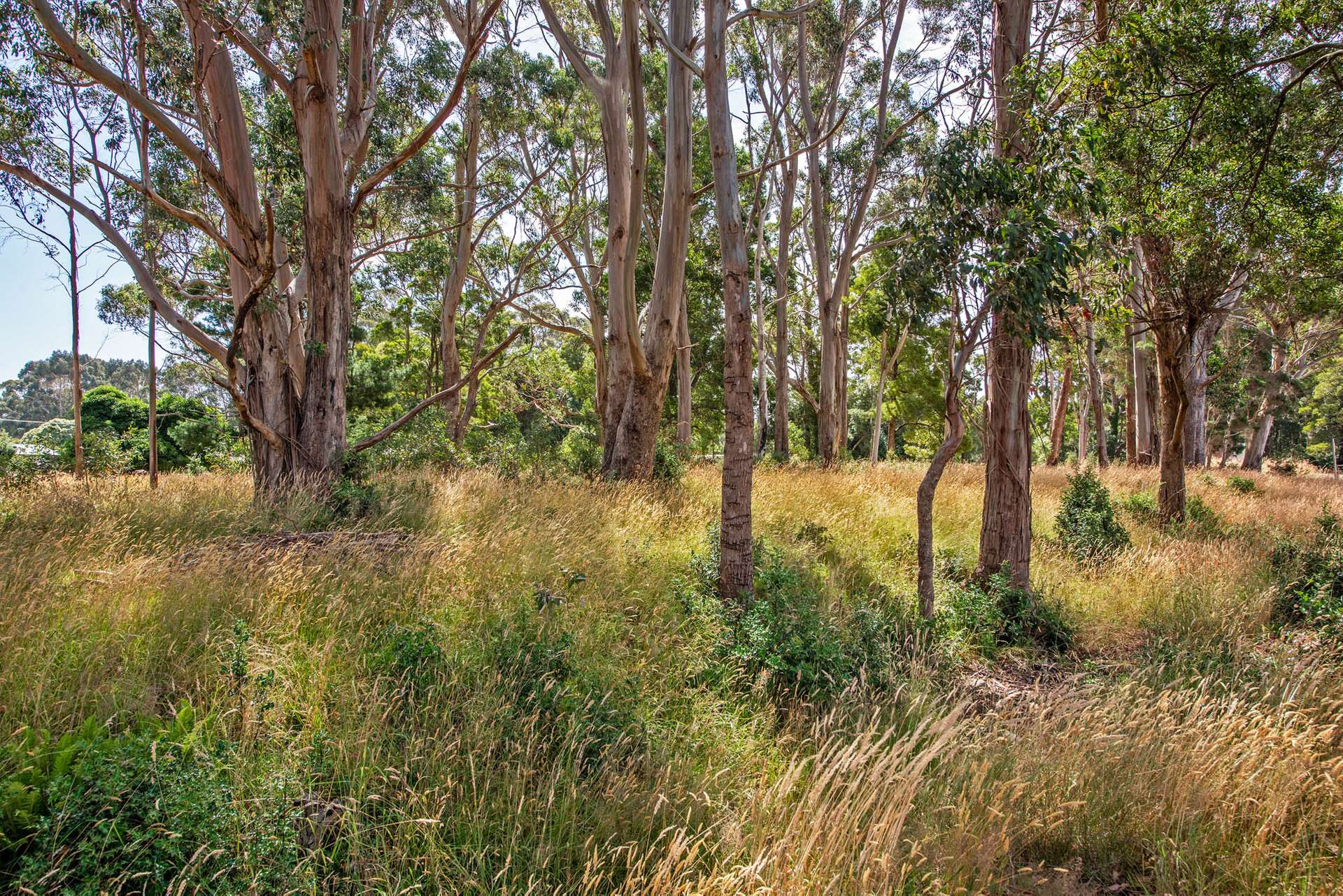 LAND Andrew Street, Strahan For Sale by Farmbuy.com - image 3