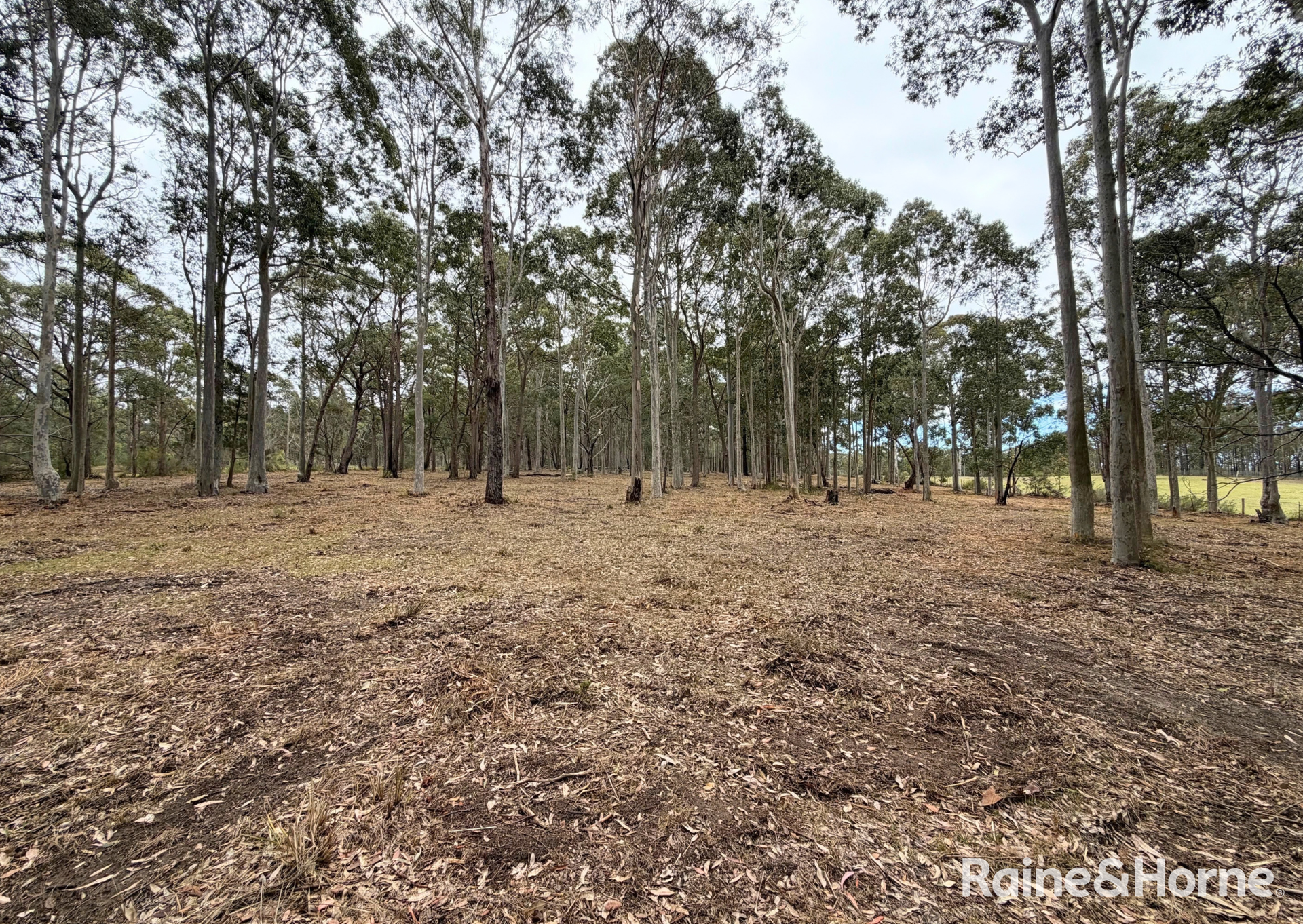 49a Woollamia Road, Falls Creek For Sale by Farmbuy.com - image 19
