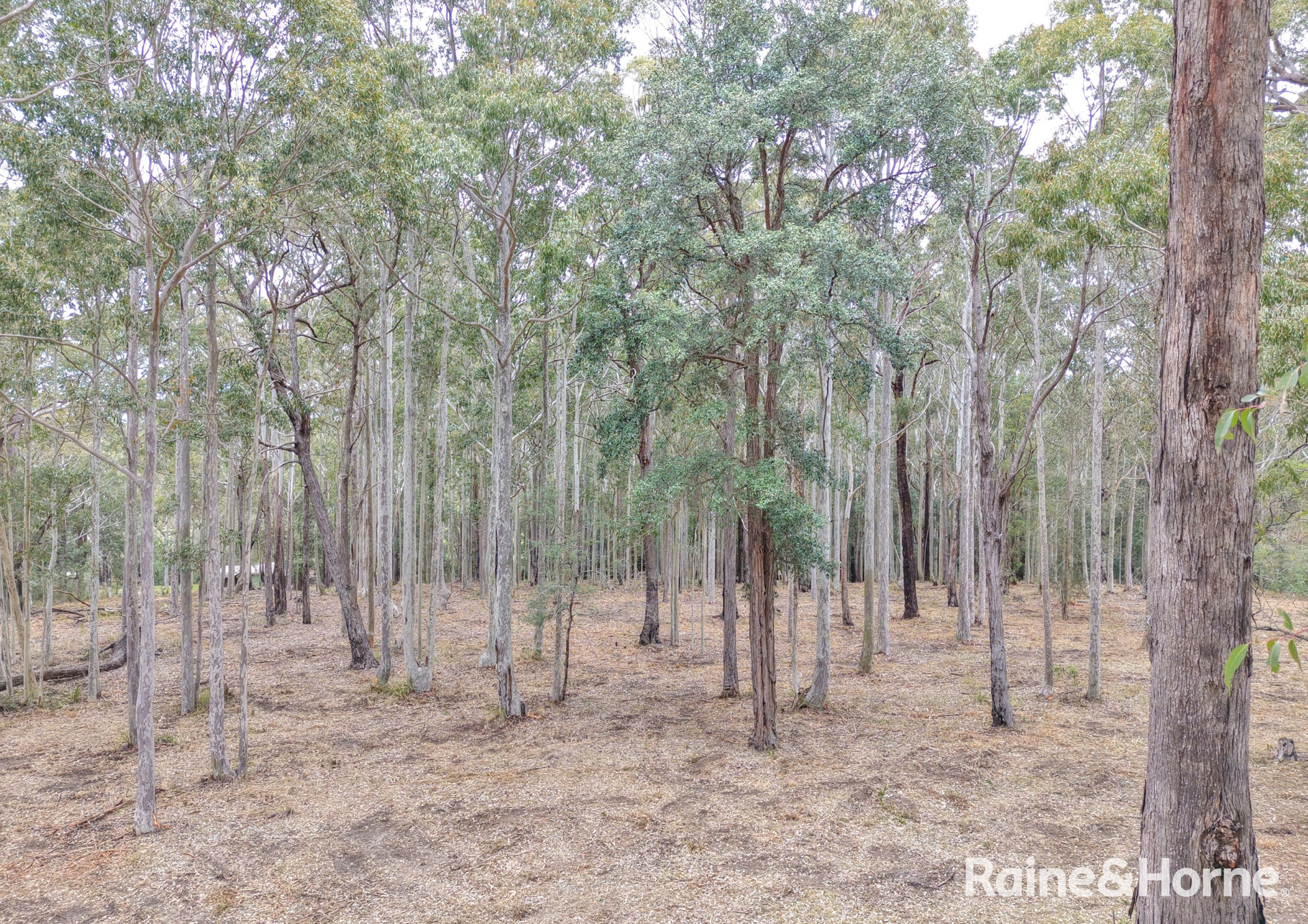 49a Woollamia Road, Falls Creek For Sale by Farmbuy.com - image 22