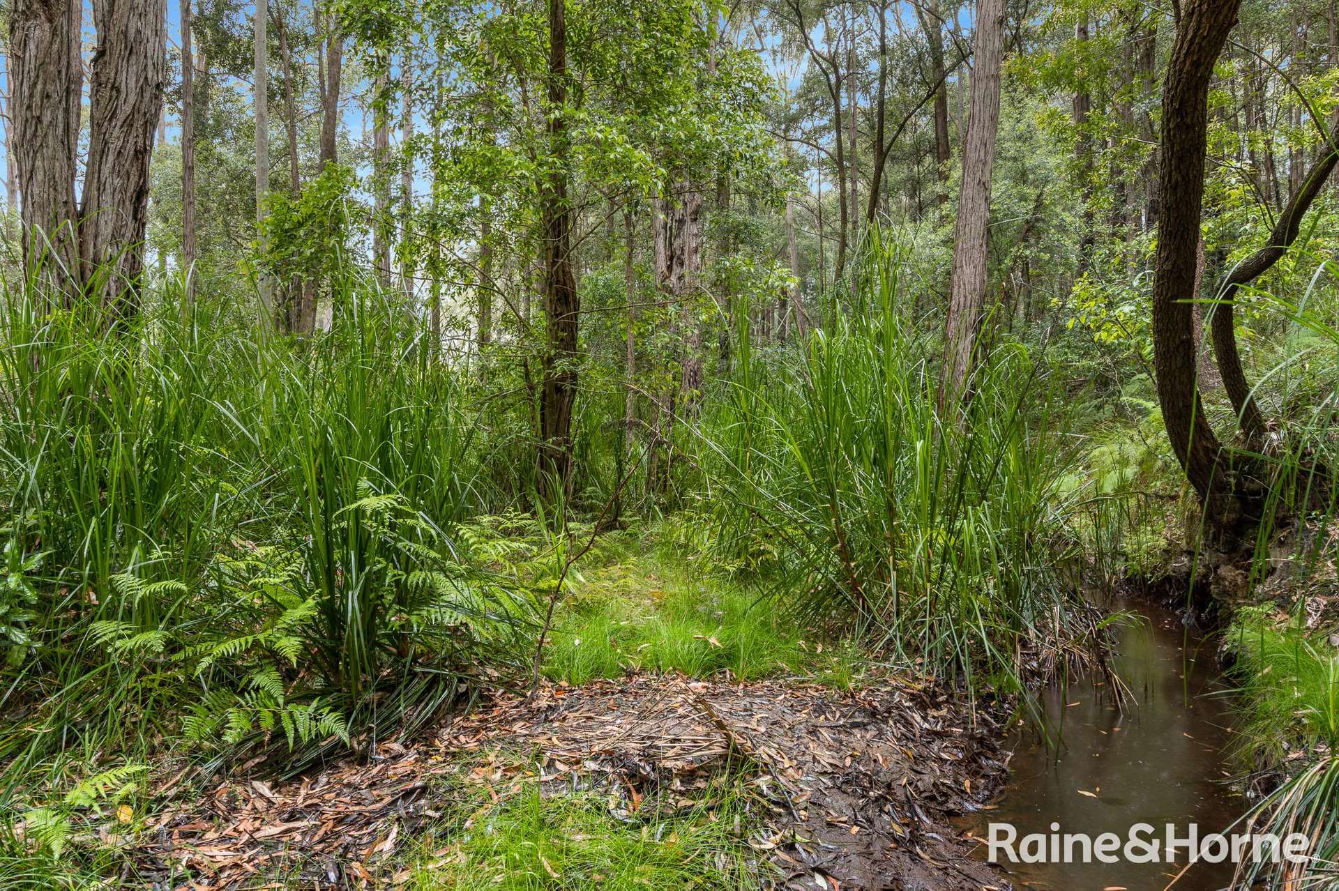 49a Woollamia Road, Falls Creek For Sale by Farmbuy.com - image 6