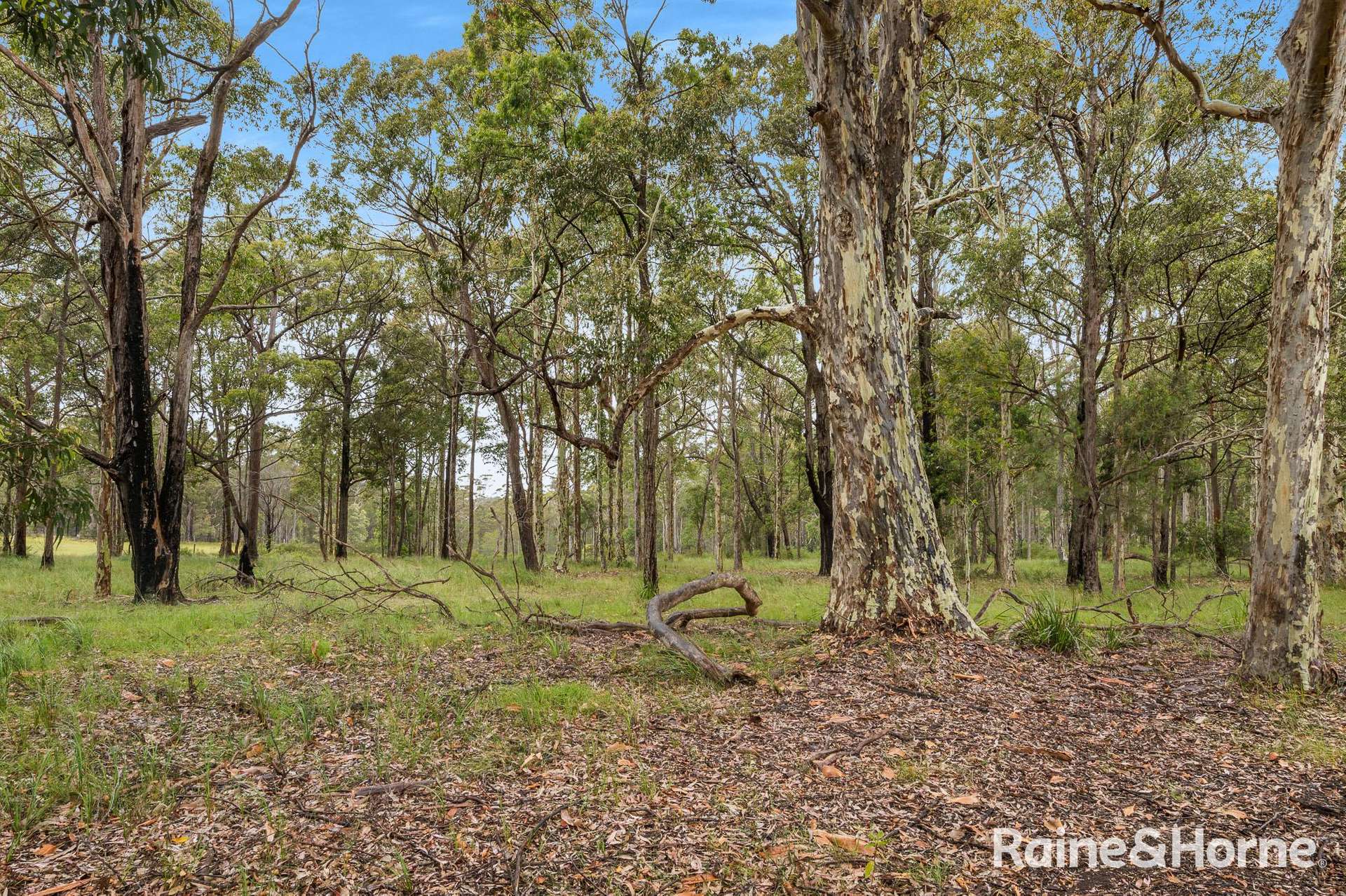 49a Woollamia Road, Falls Creek For Sale by Farmbuy.com - image 9