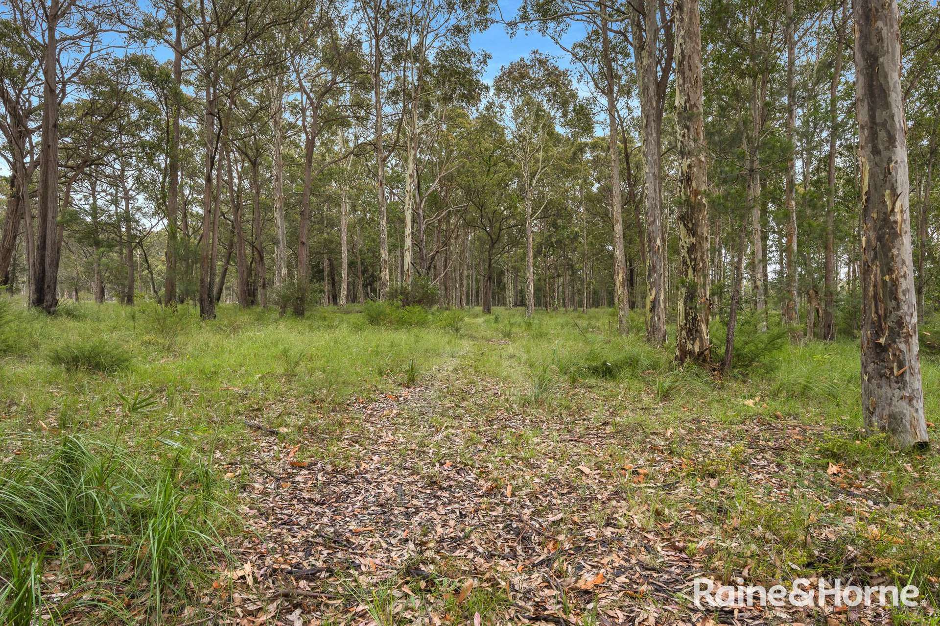 49a Woollamia Road, Falls Creek For Sale by Farmbuy.com - image 10