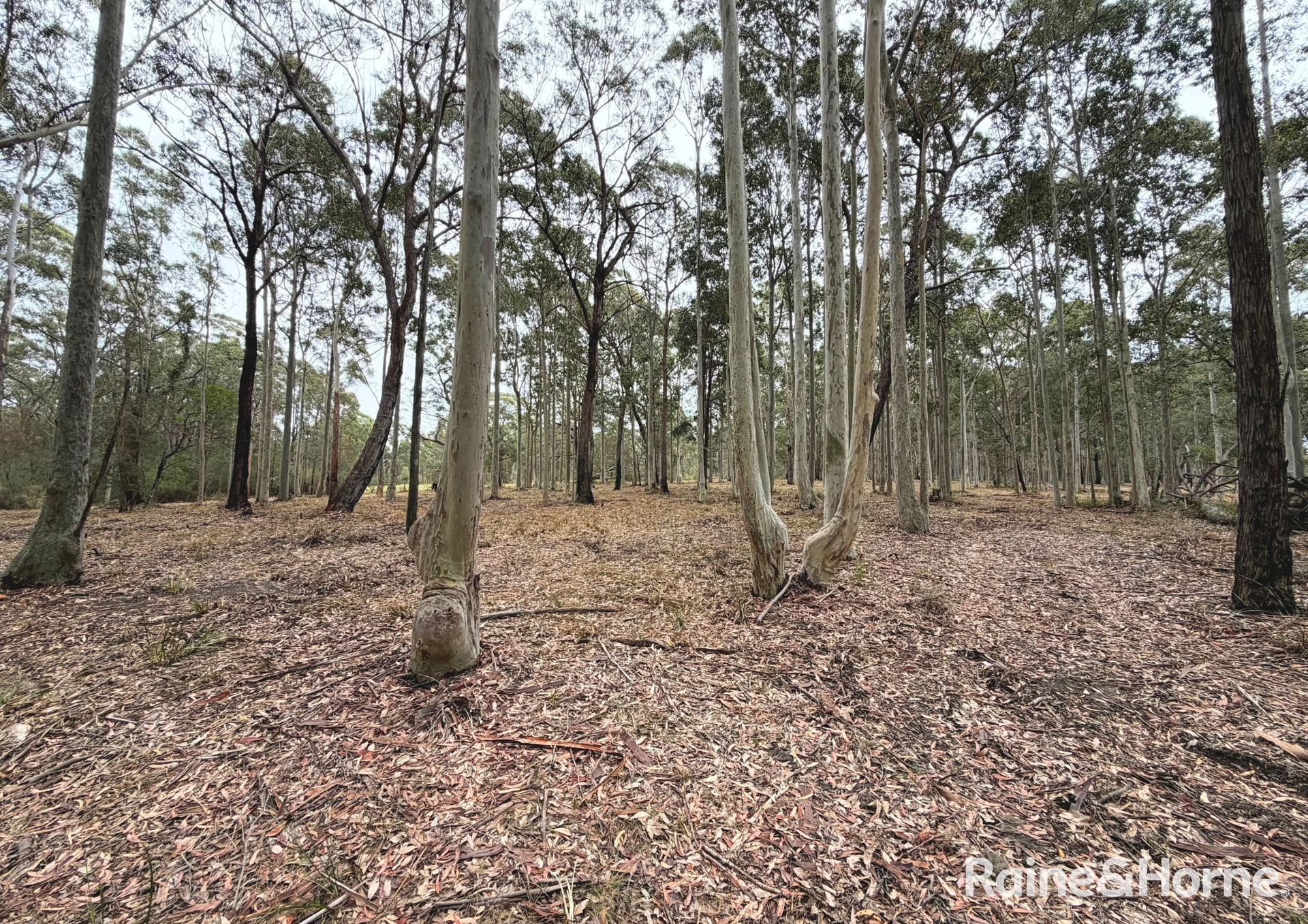 49a Woollamia Road, Falls Creek For Sale by Farmbuy.com - image 17