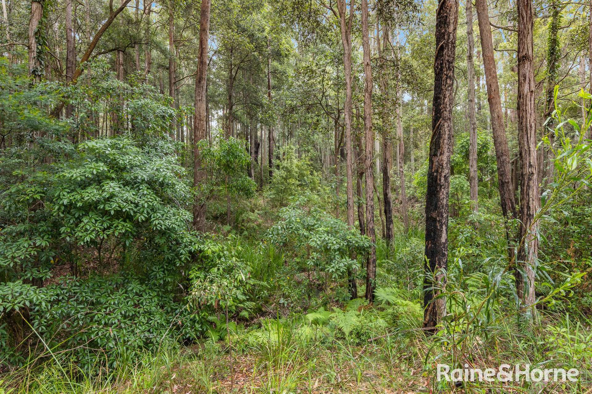 49a Woollamia Road, Falls Creek For Sale by Farmbuy.com - image 7