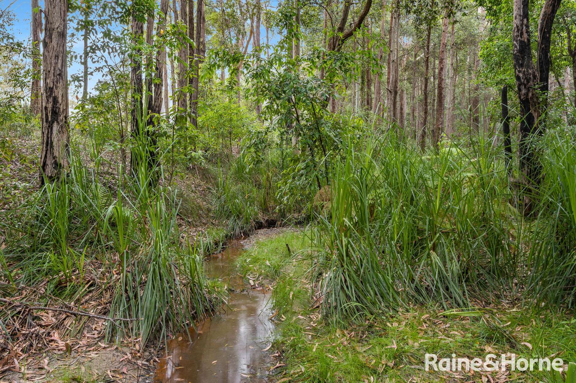 49a Woollamia Road, Falls Creek For Sale by Farmbuy.com - image 5