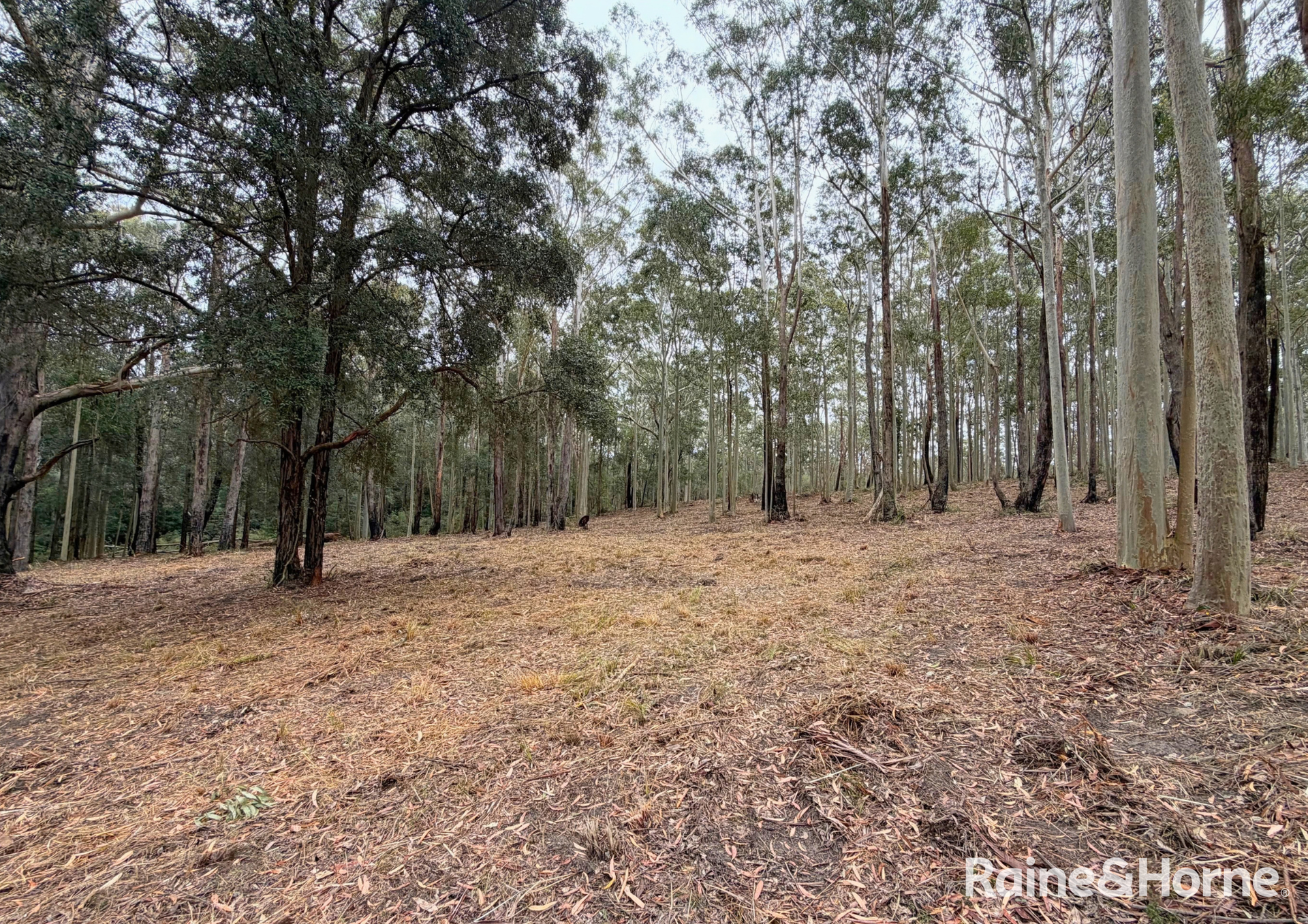 49a Woollamia Road, Falls Creek For Sale by Farmbuy.com - image 18