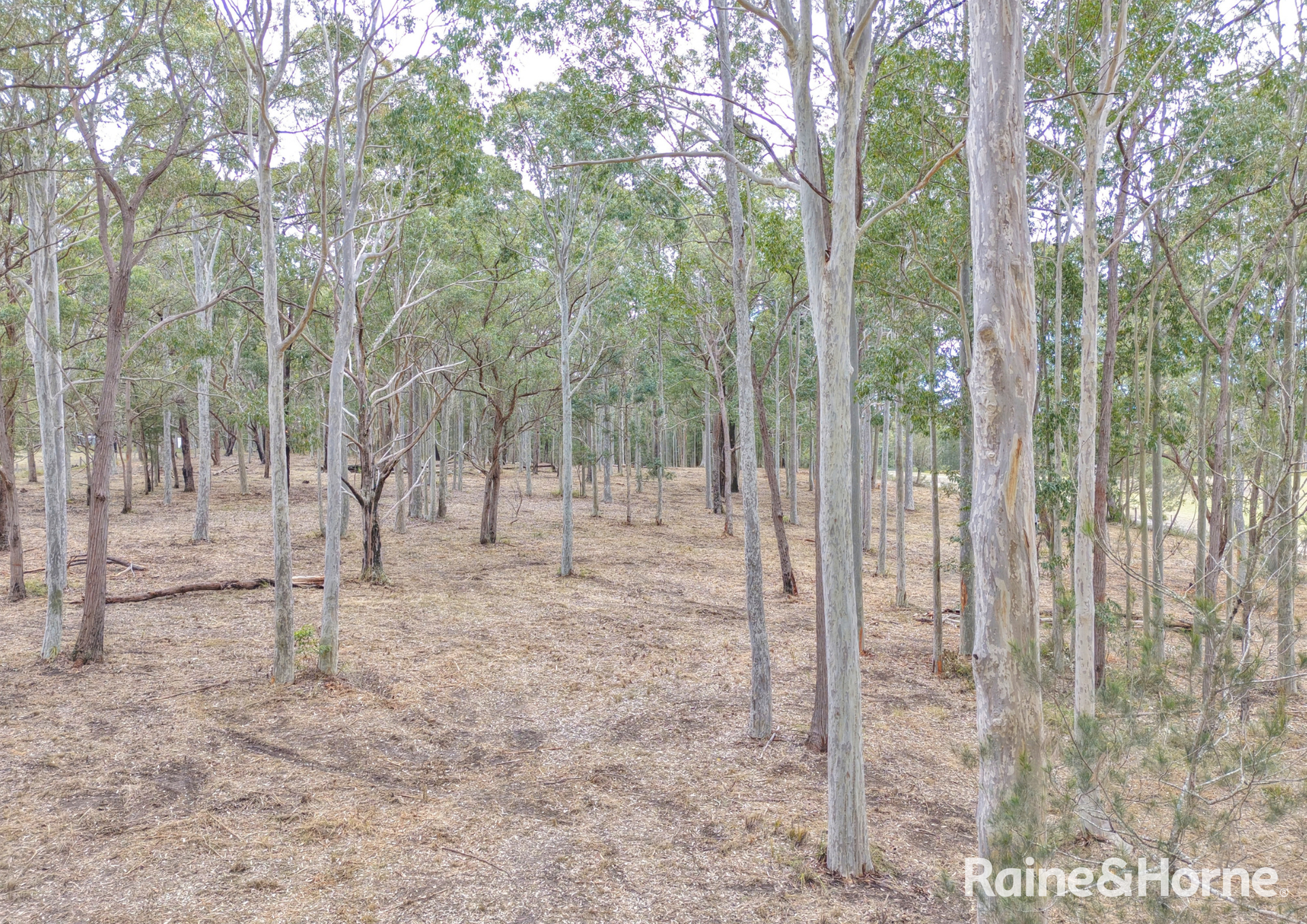 49a Woollamia Road, Falls Creek For Sale by Farmbuy.com - image 21