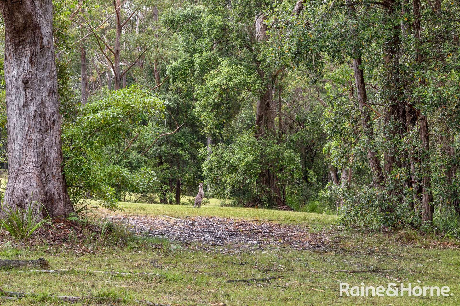 49a Woollamia Road, Falls Creek For Sale by Farmbuy.com - image 11