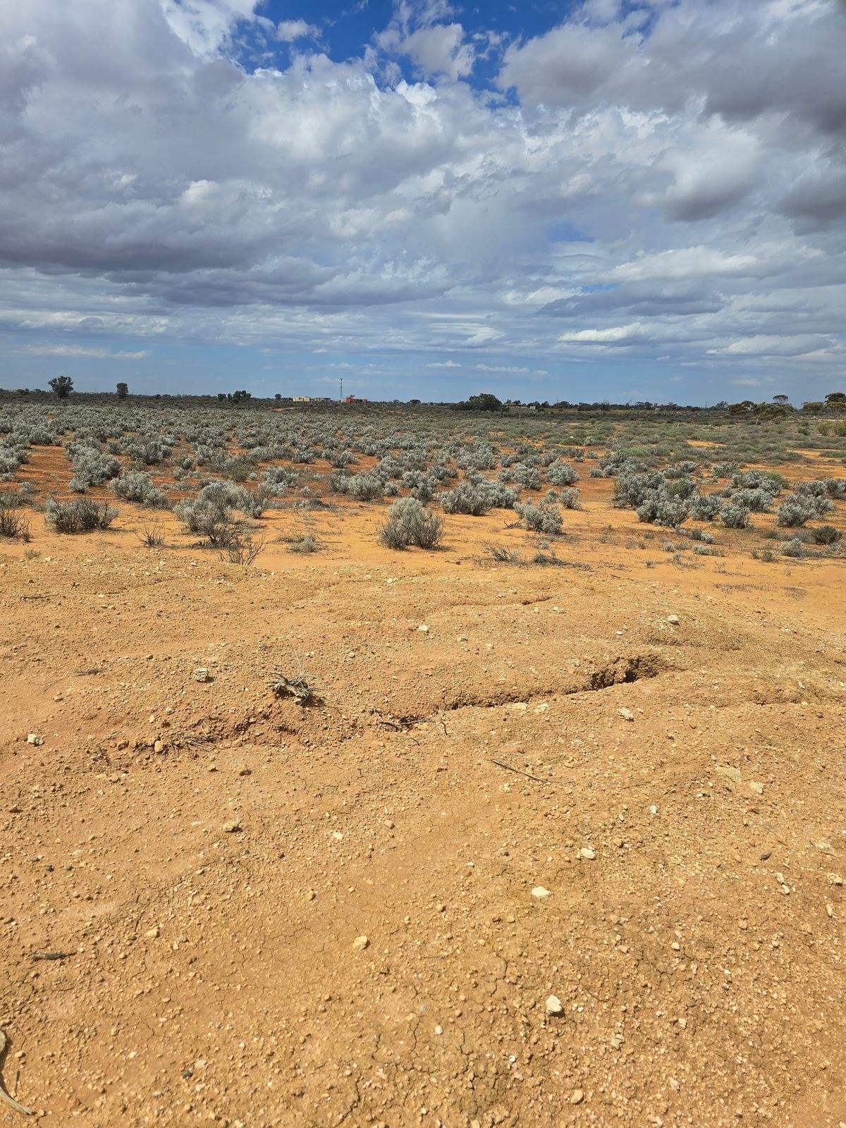 121 Yandiah Road, Morgan For Sale by Farmbuy.com - image 2