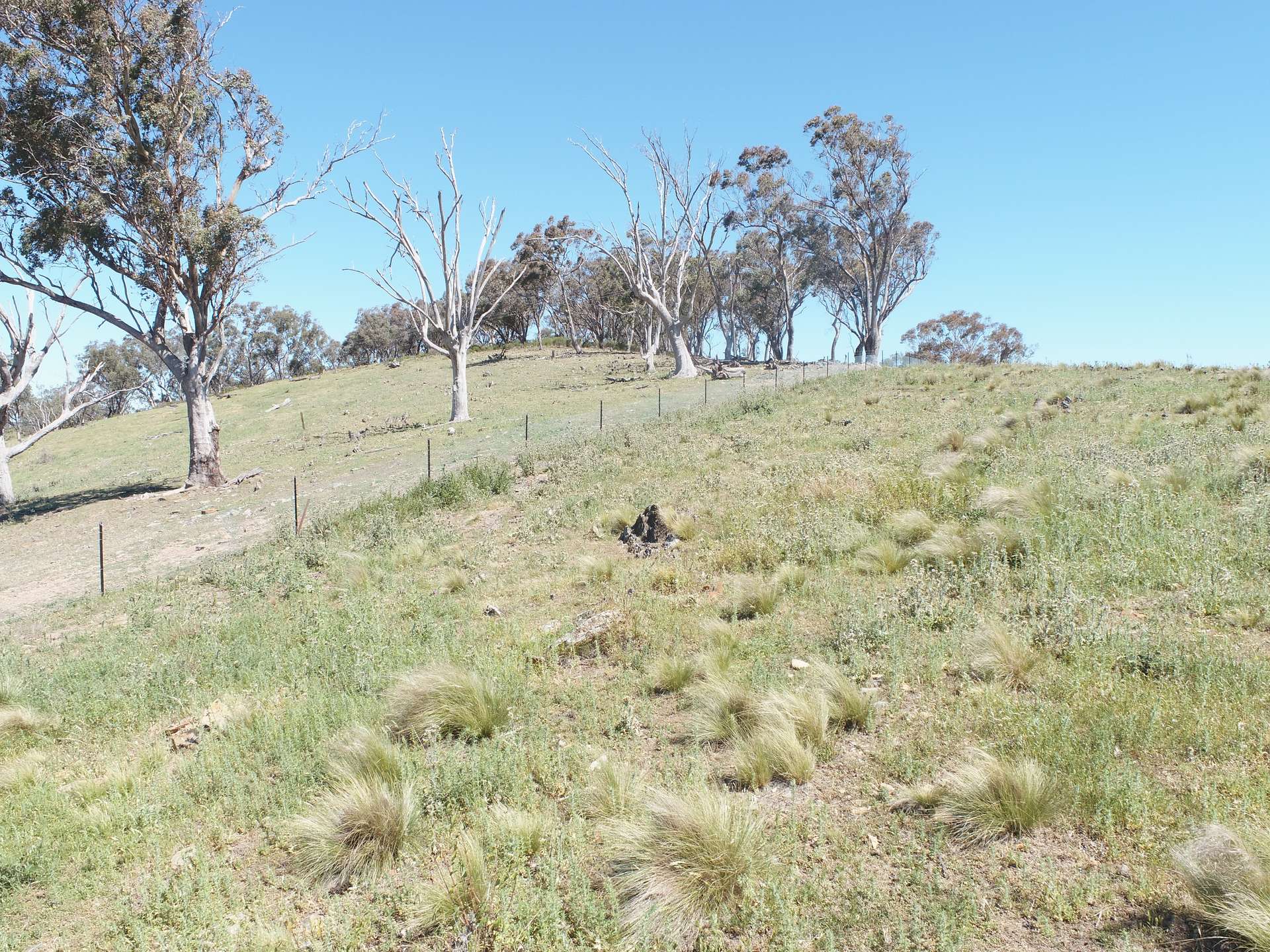 1092 Gowan Road, Lower Lewis Ponds For Sale by Farmbuy.com - image 9