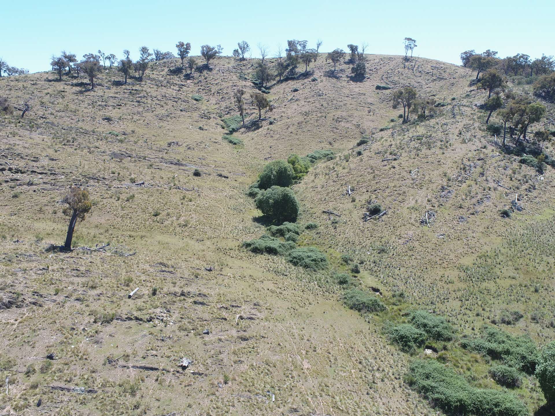 1092 Gowan Road, Lower Lewis Ponds For Sale by Farmbuy.com - image 7