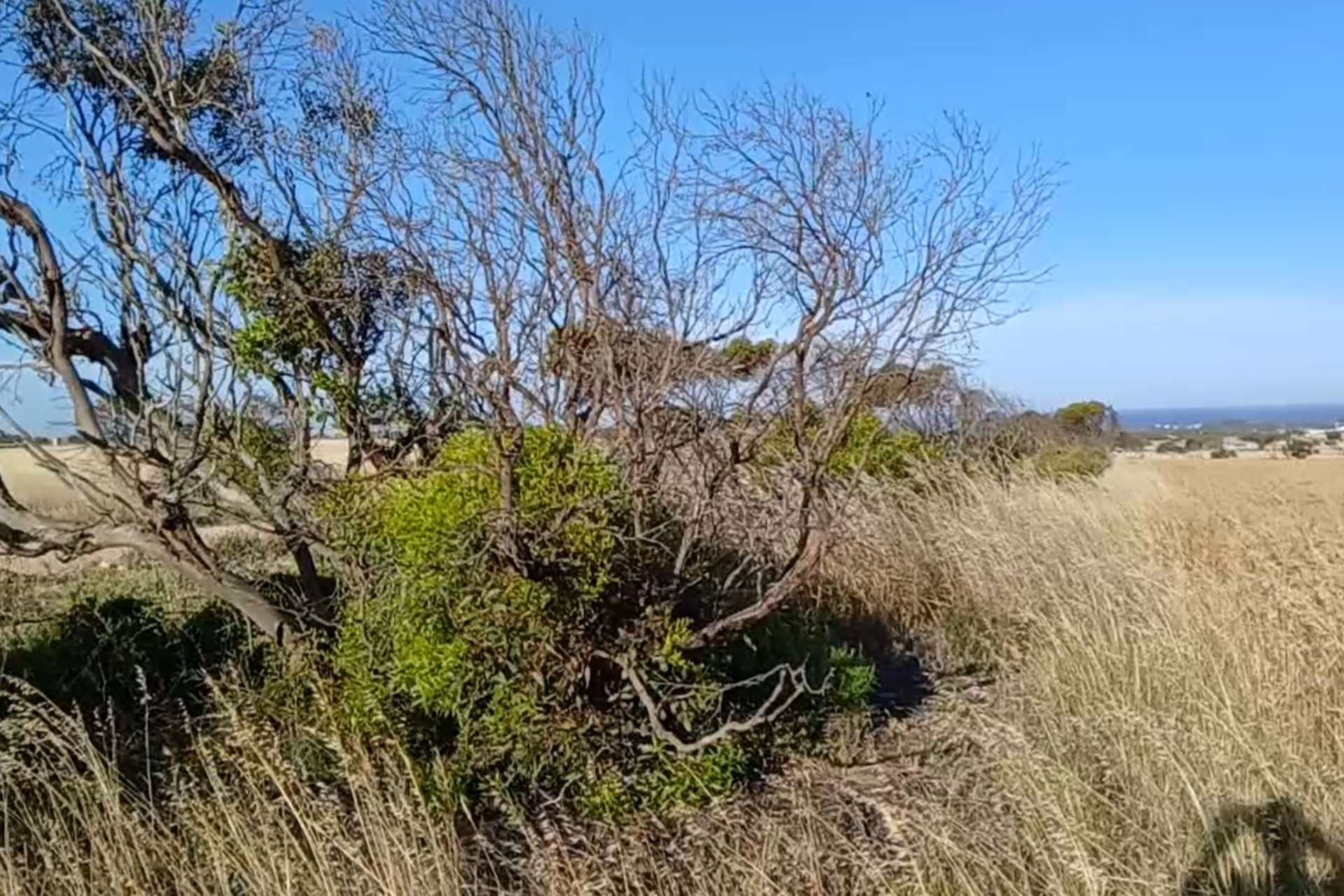 107 Chalmers Road, Port Neill For Sale by Farmbuy.com - image 18