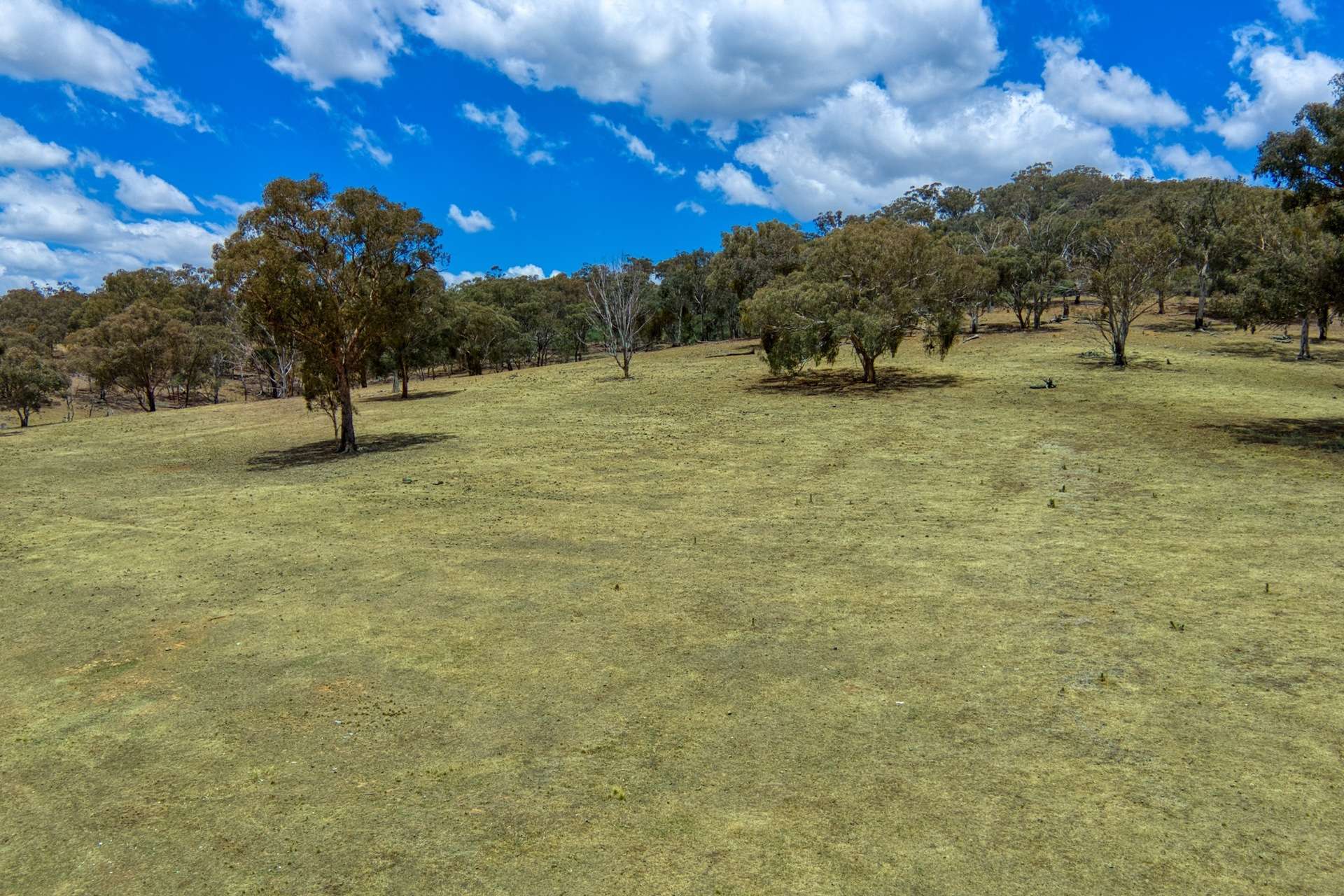 4748 Ilford Sofala Road, Sofala, Bathurst Sold by Farmbuy.com - image 10