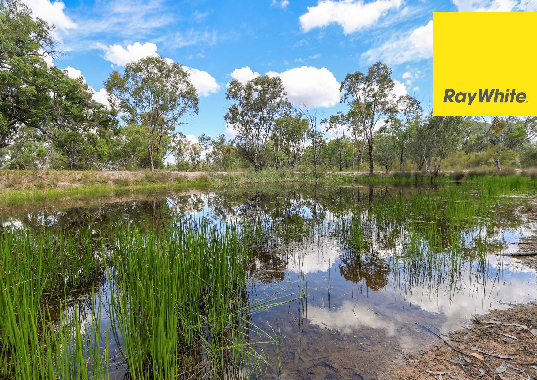 1351 Grove Road, Inverell Sold by Farmbuy.com - image 12