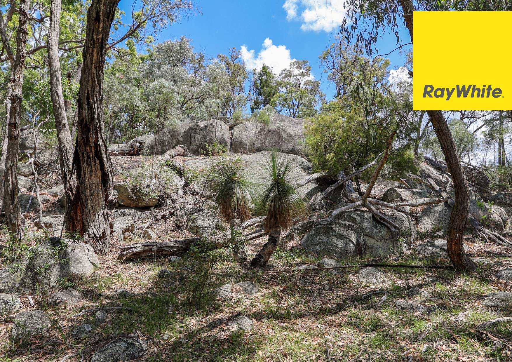 1351 Grove Road, Inverell Sold by Farmbuy.com - image 8