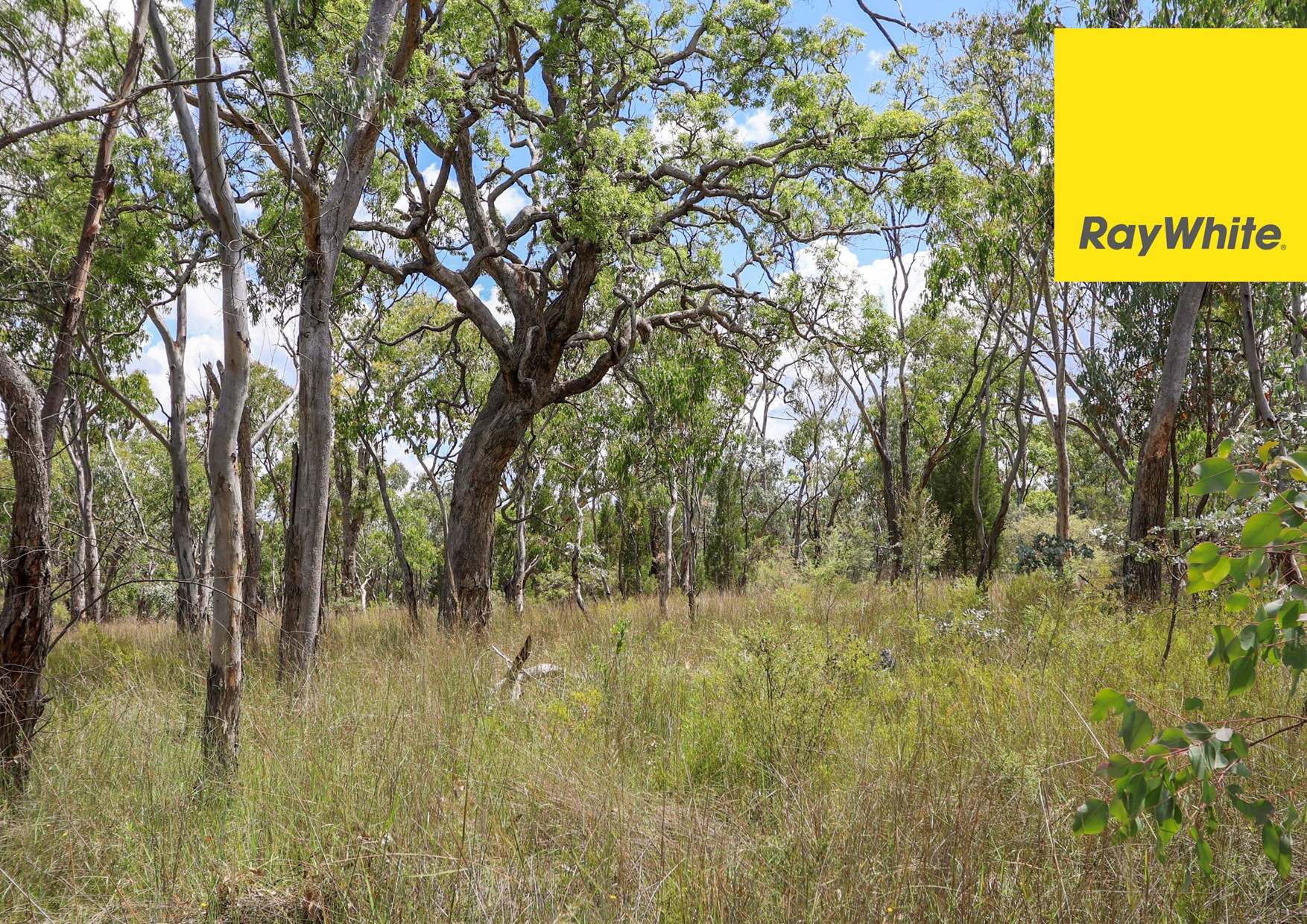 1351 Grove Road, Inverell Sold by Farmbuy.com - image 17